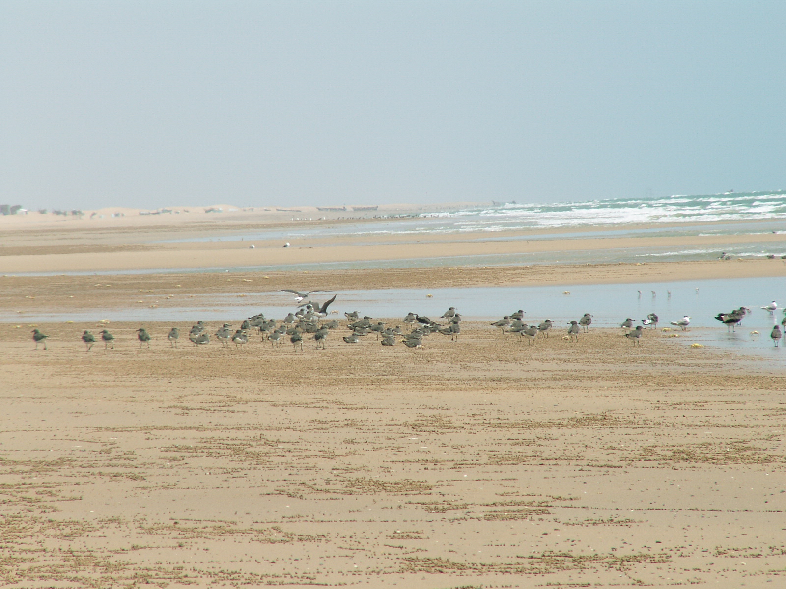 Near Bi'r 'Ali