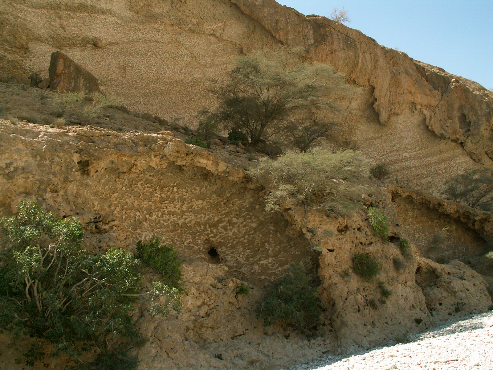 Near Al Mukalla