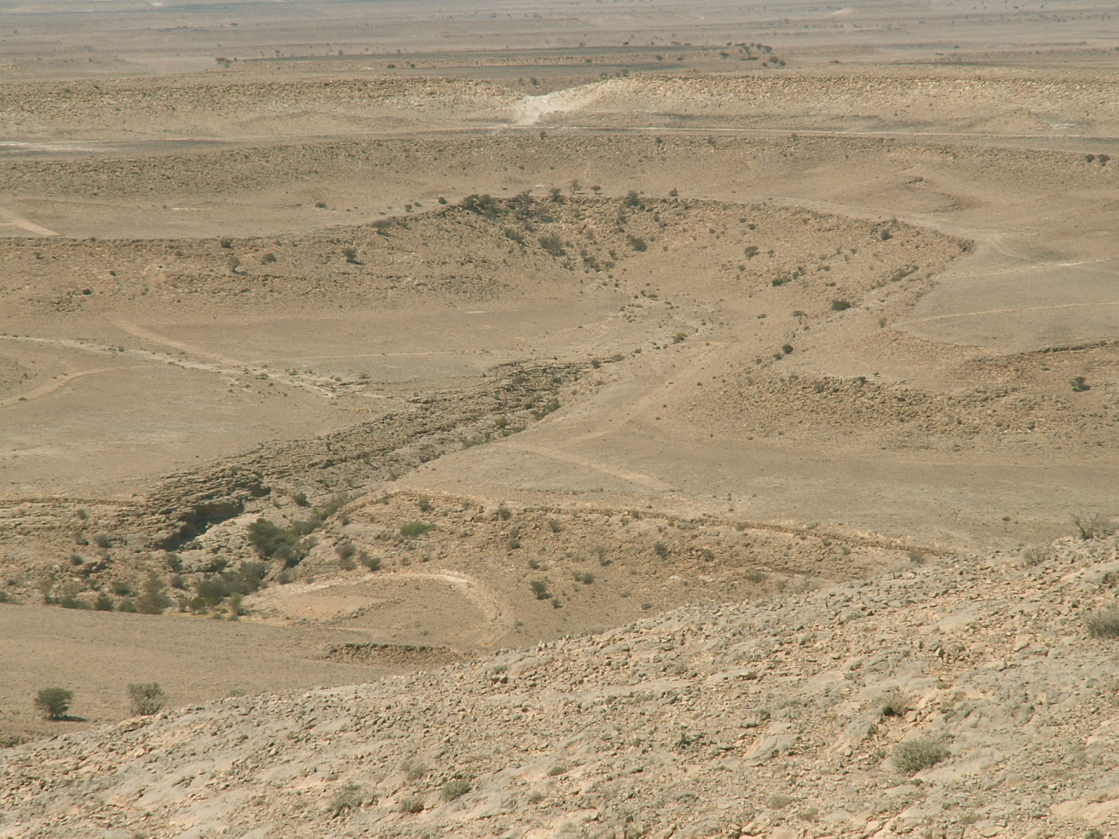 Near Huwayrah