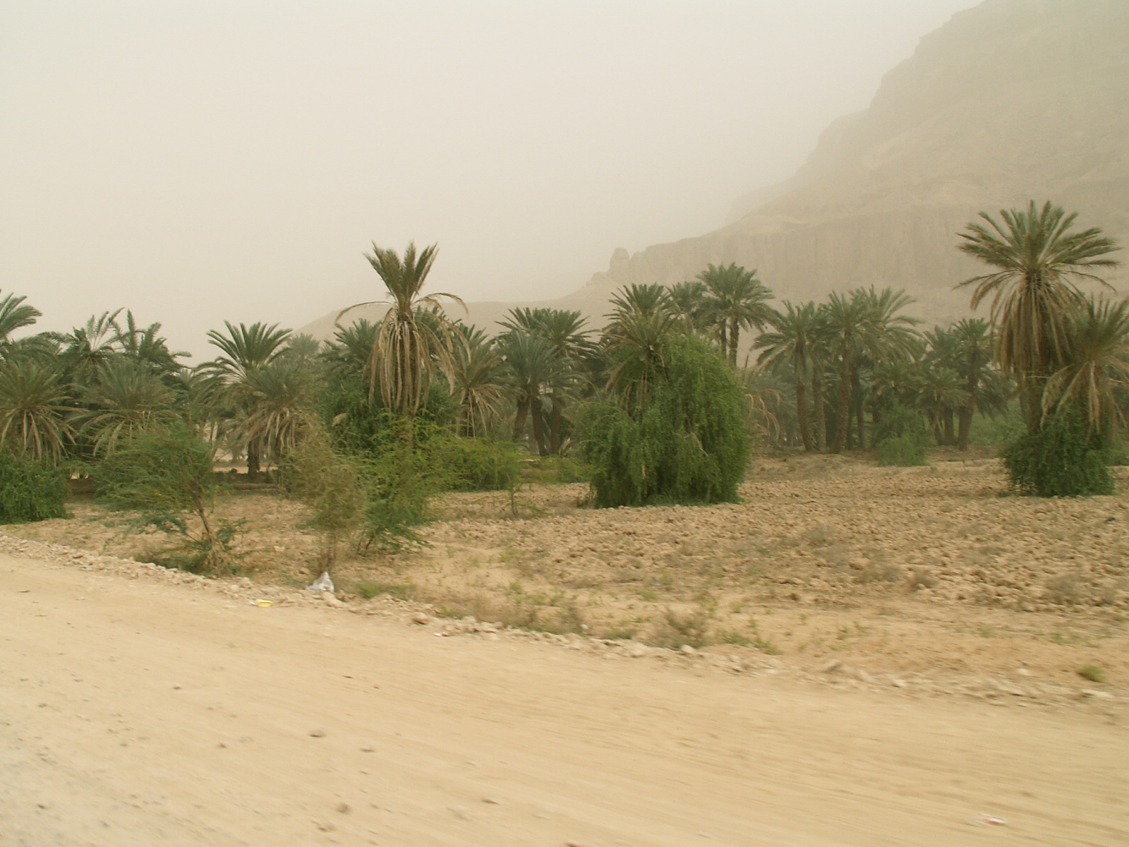 Wadi Hadramawt