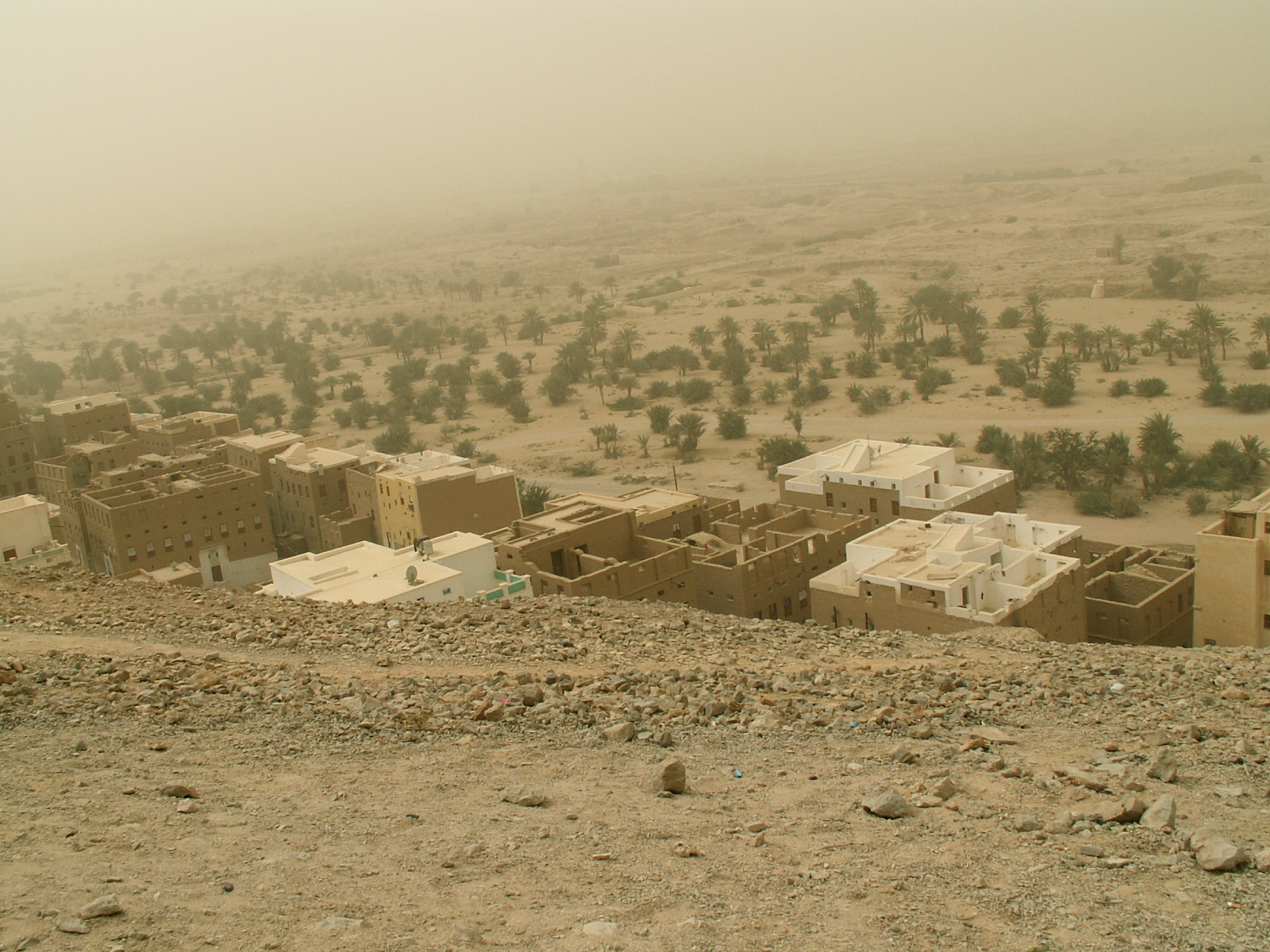 Wadi Hadramawt - New Shibam