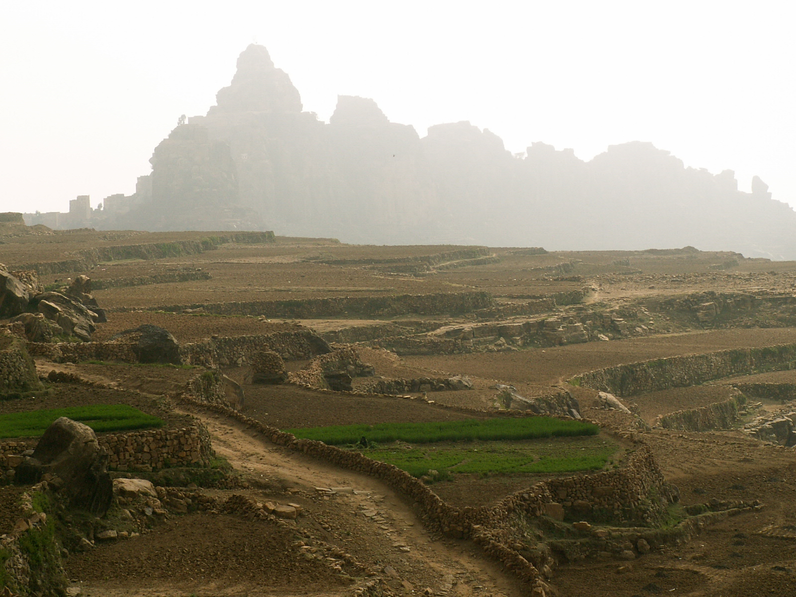 Near At Tawilah
