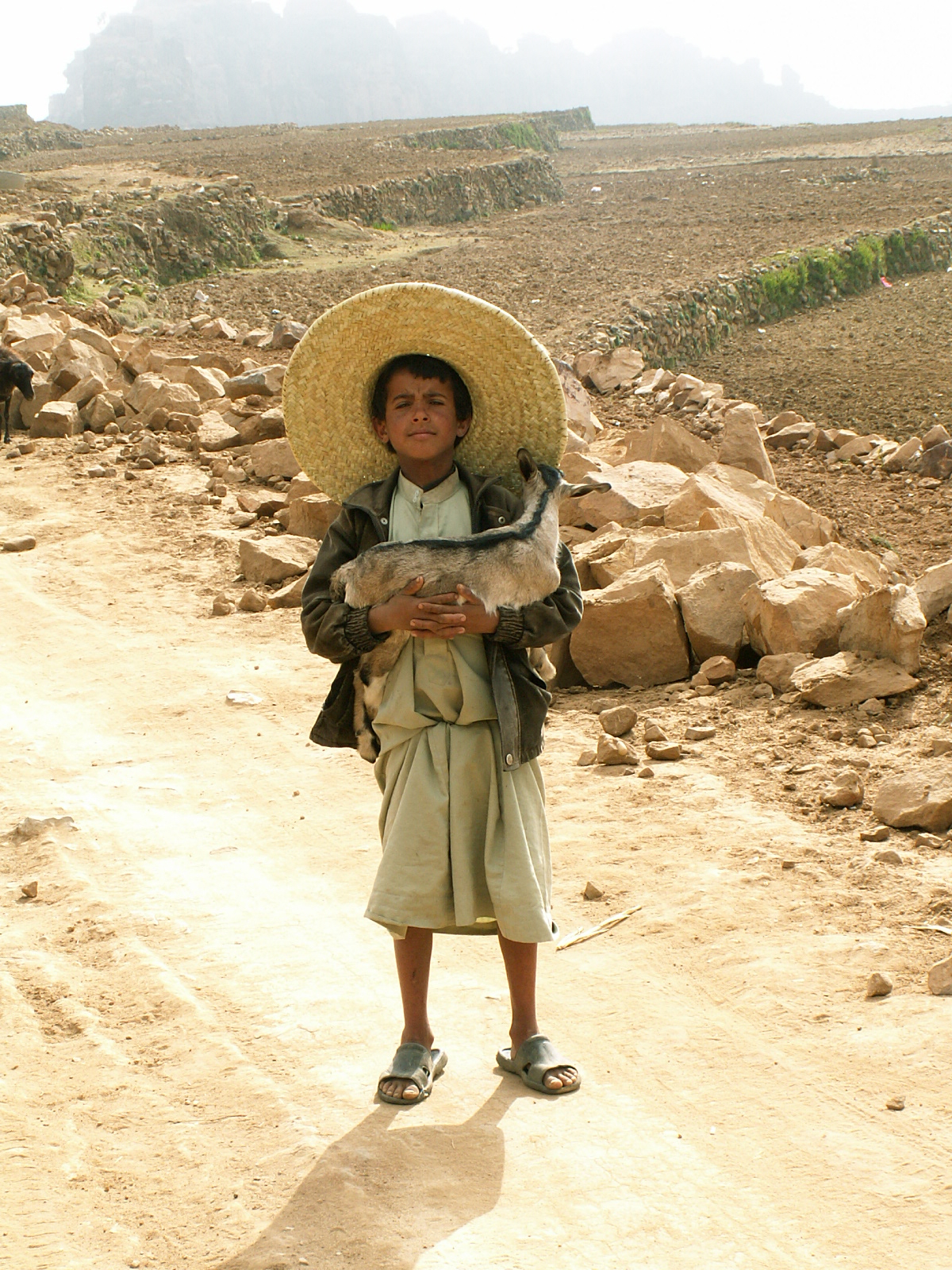 Near At Tawilah