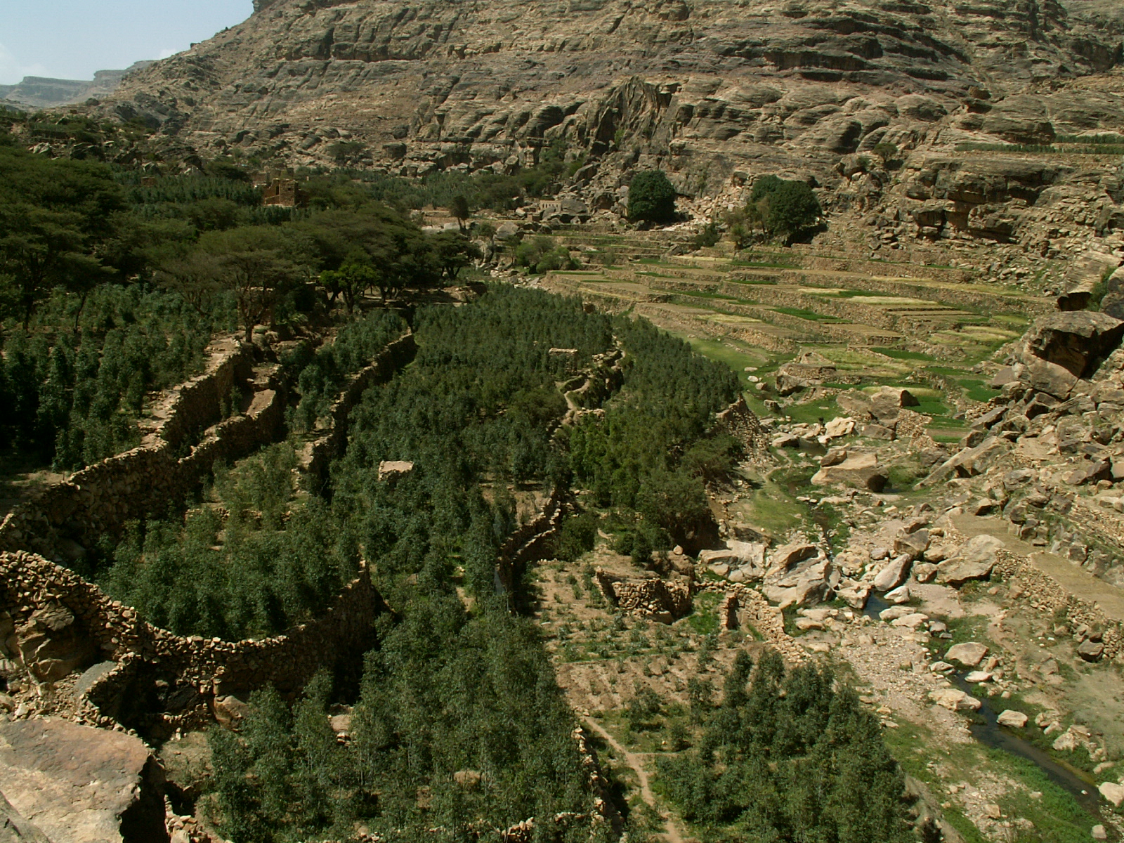 Wadi Gazuan
