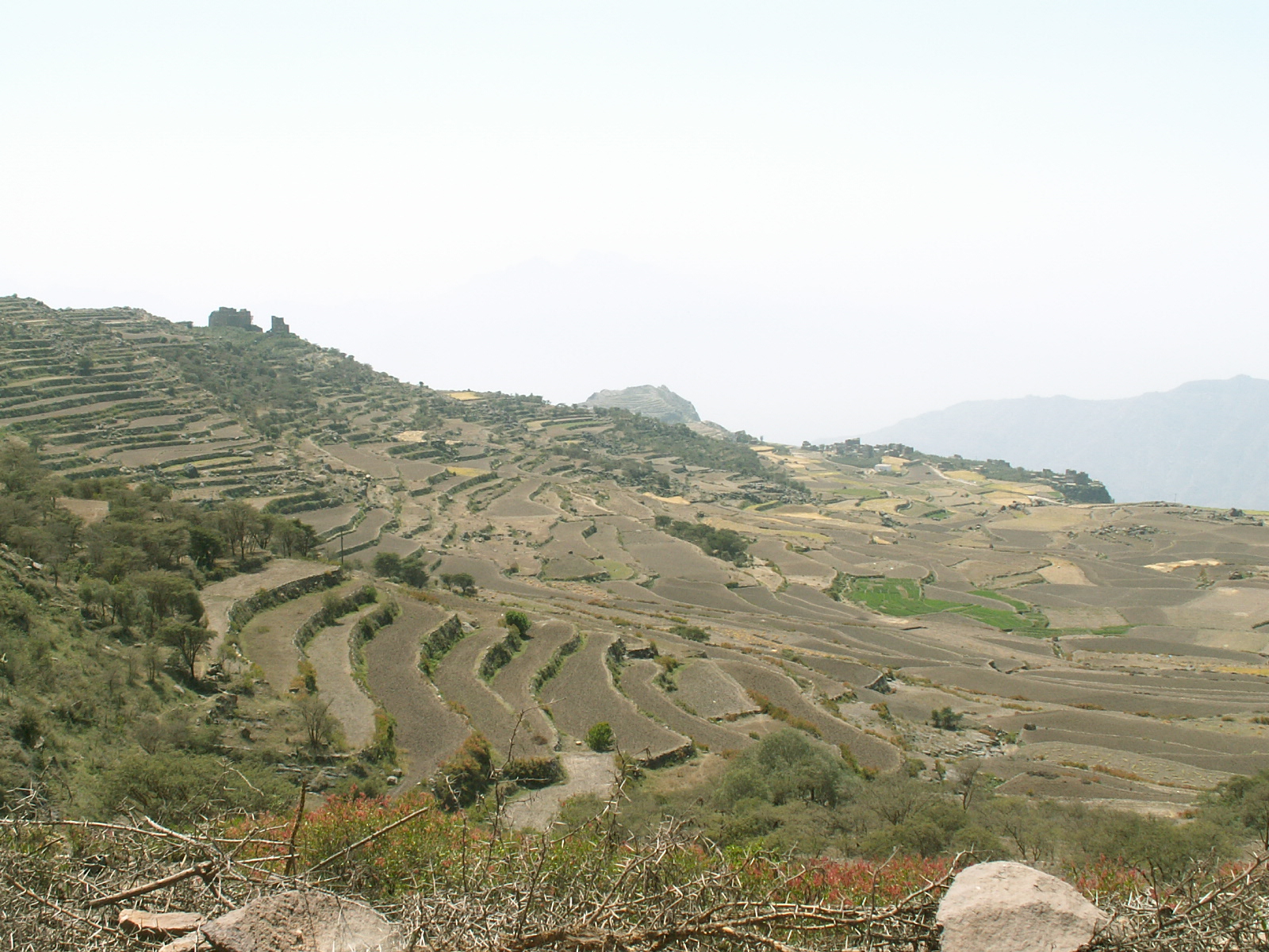 Near Manakhah