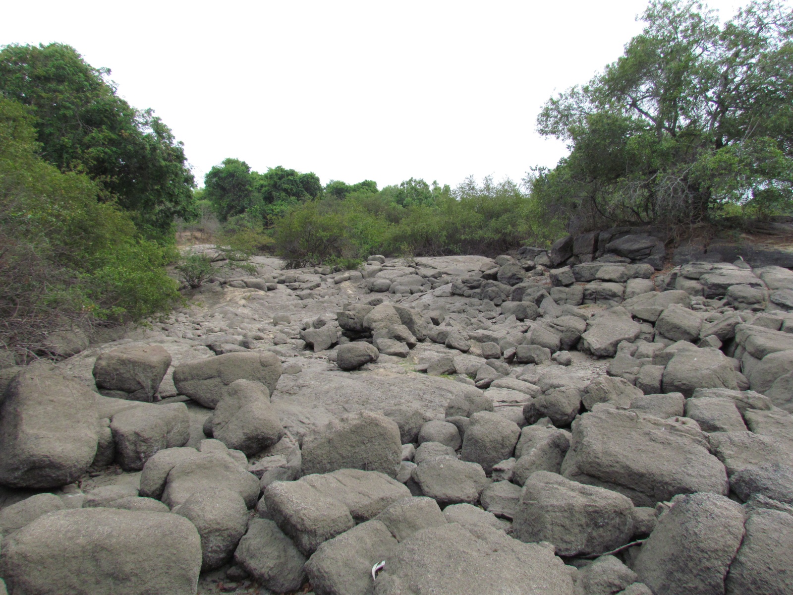 Kafue national park - Near Kasabushi camp