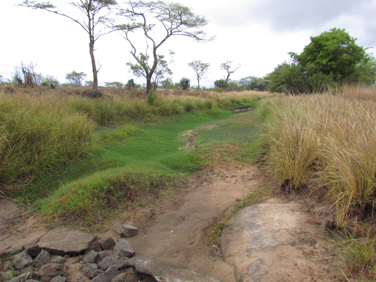 Kafue national park - Hippo Bay camp