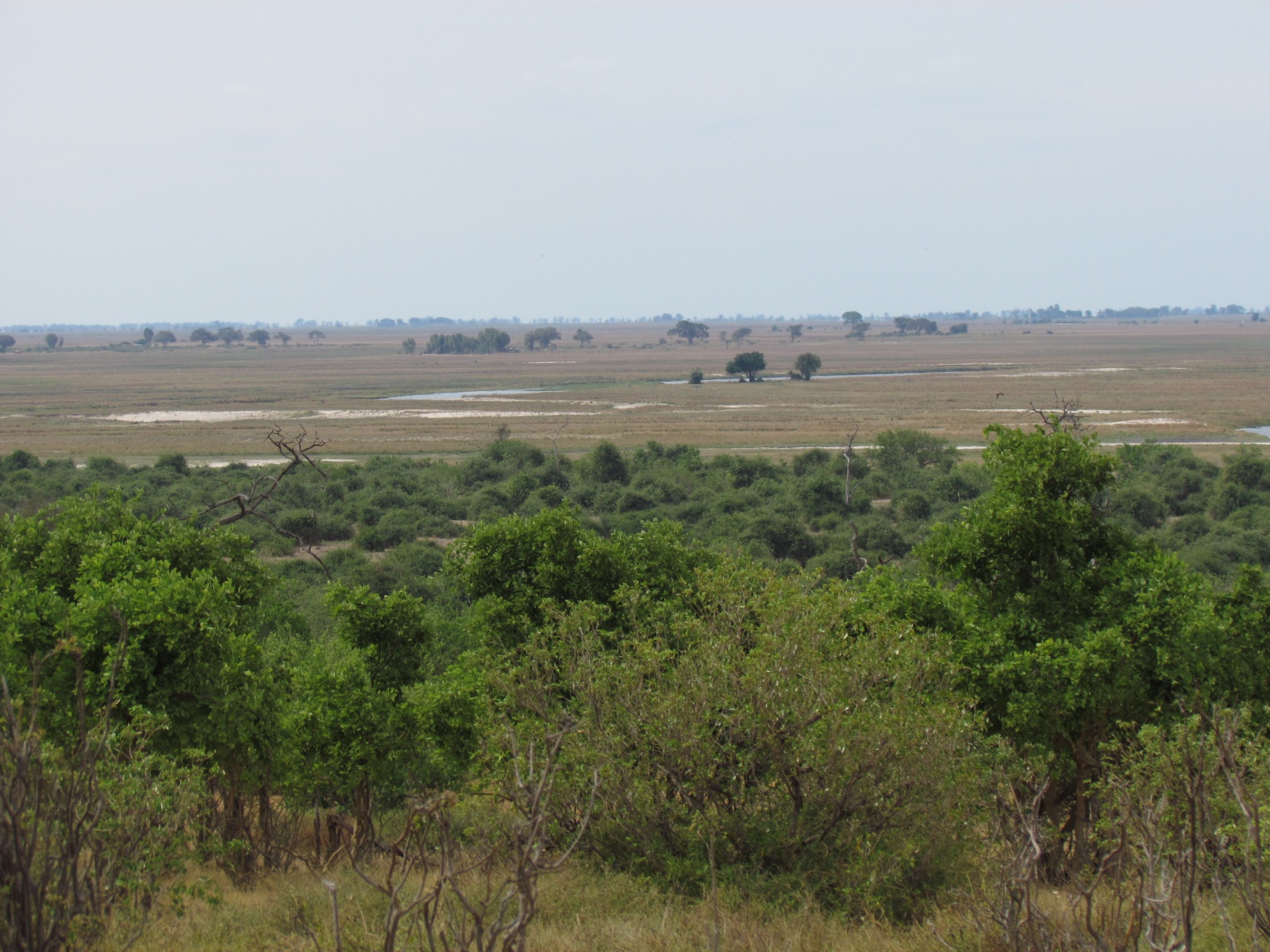 Botswana - Chobe national park