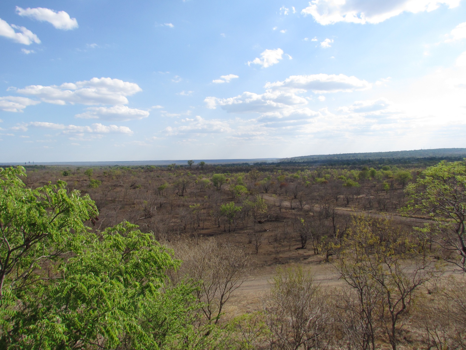 Victoria Falls - Falls from a distance