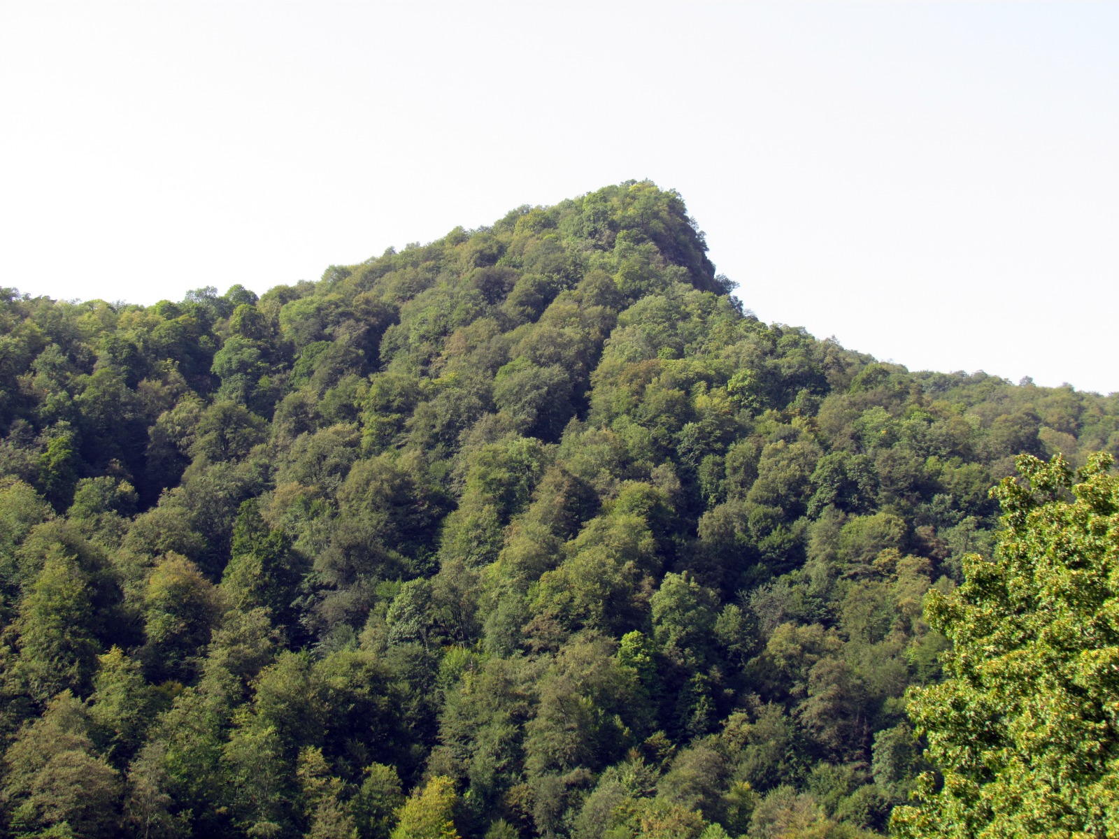 Hagartsin monastery - Surroundings
