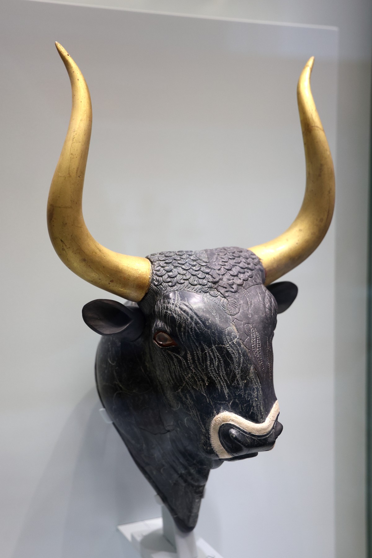 Heraklion - Archaeological museum - Bull head