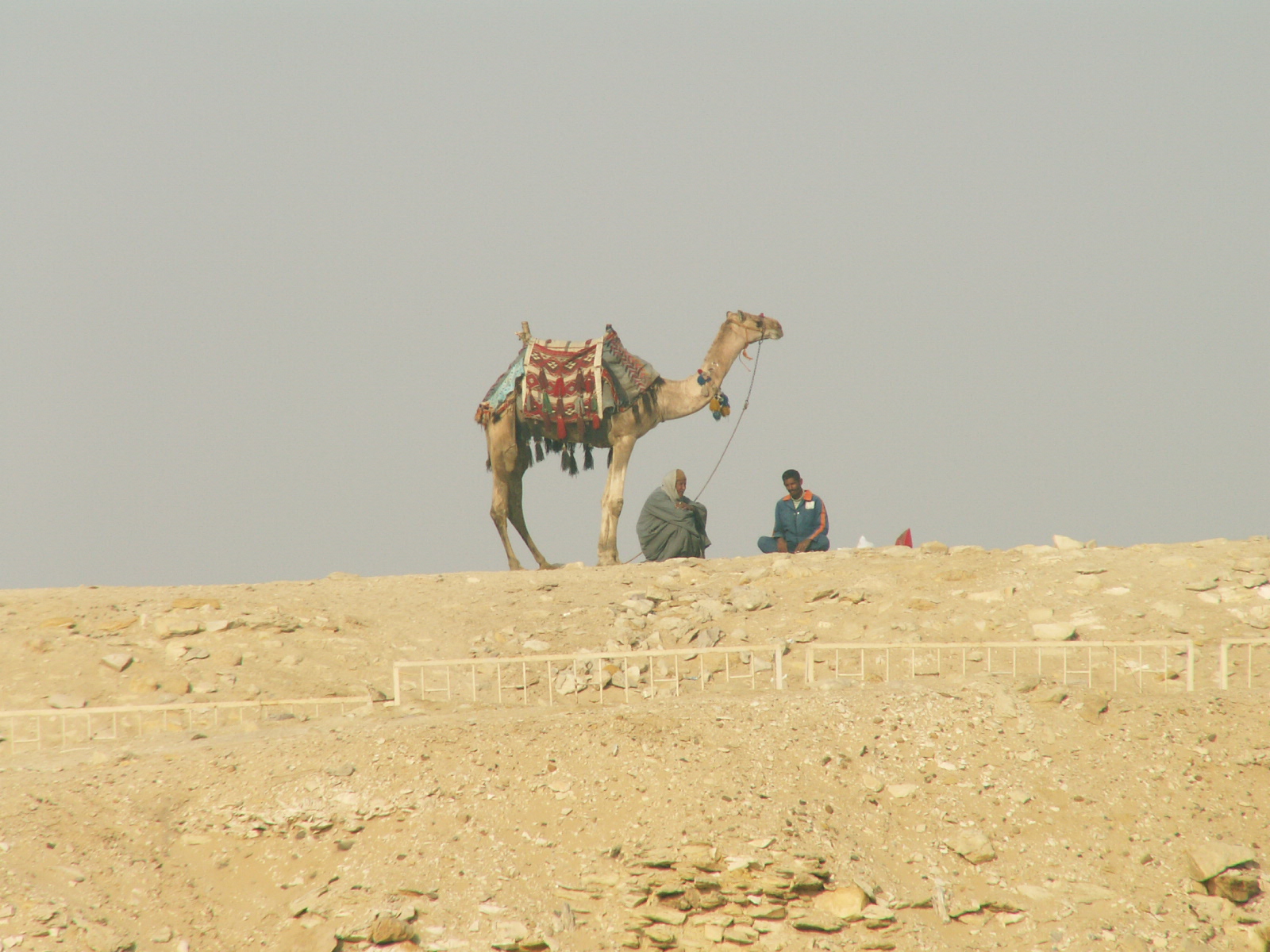 Sakkara