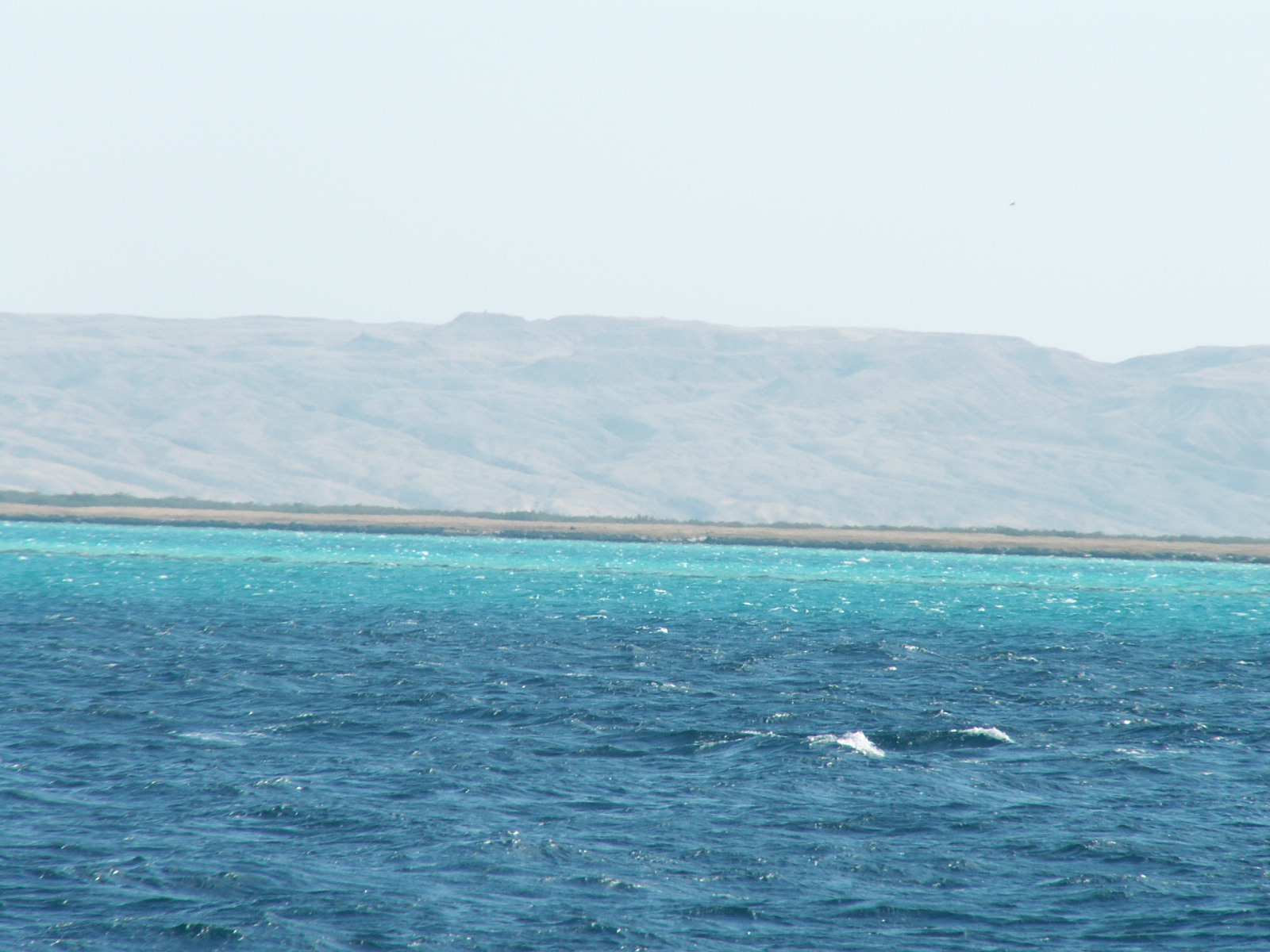 Hurghada - Red sea