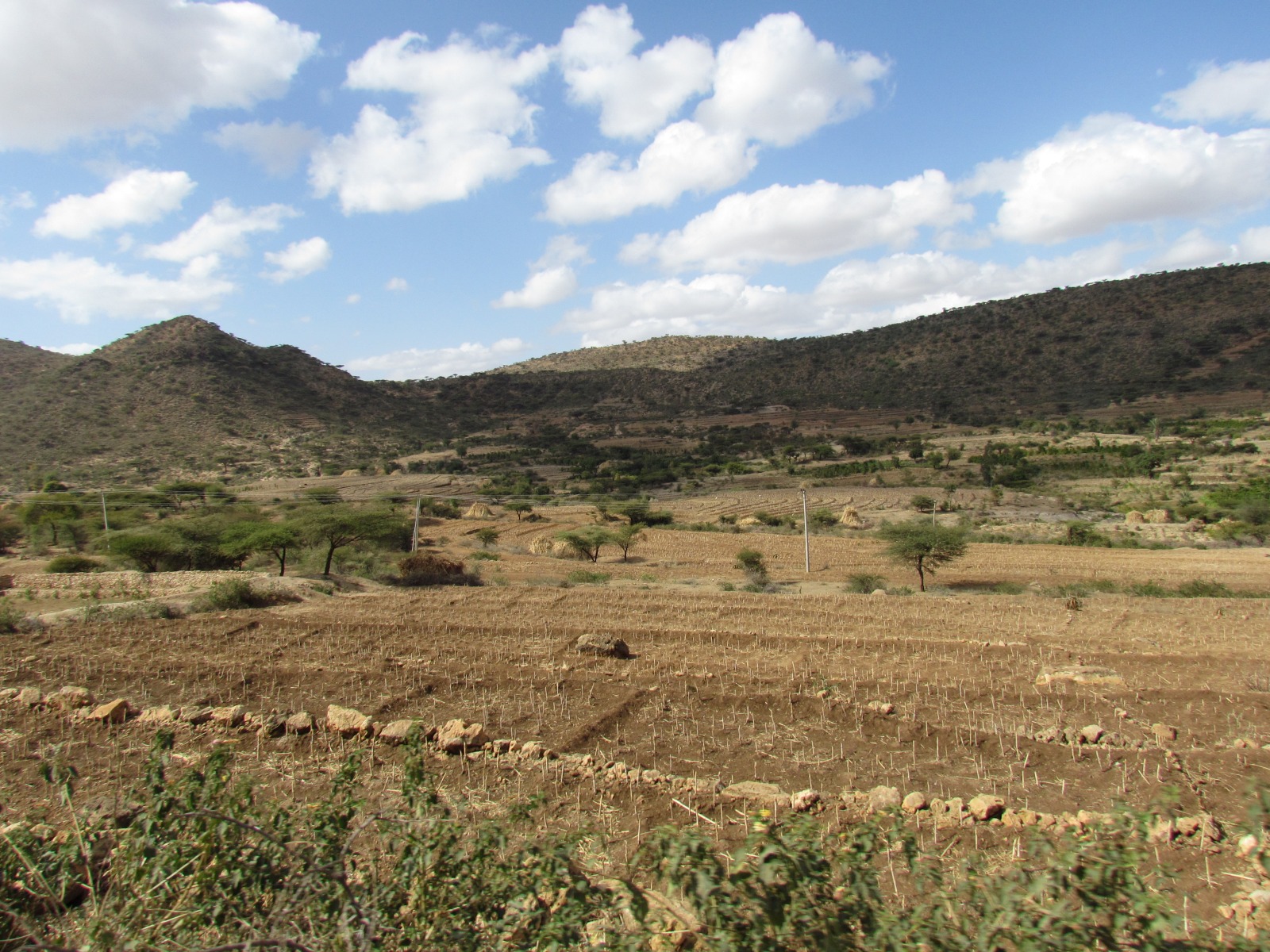 Near Dire Dawa