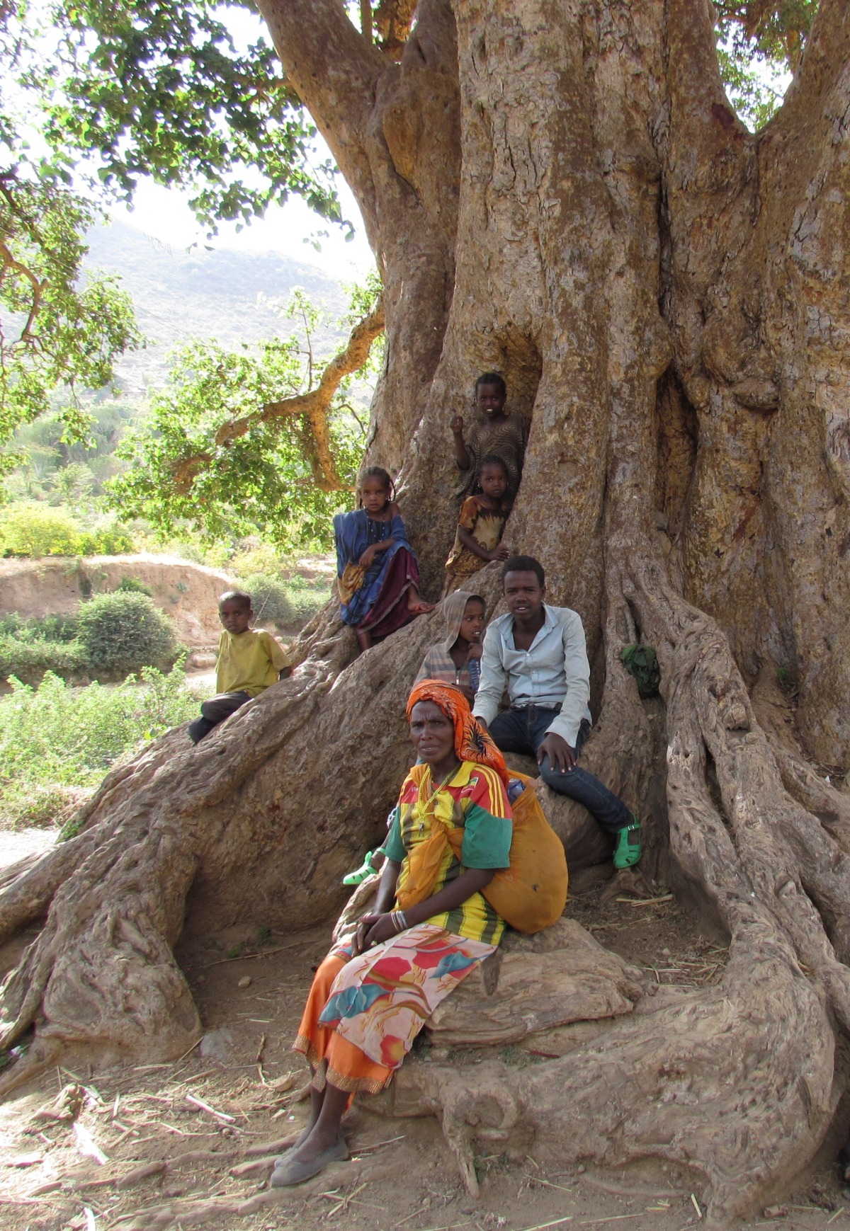 Near Dire Dawa - Resting in the tree's shadow