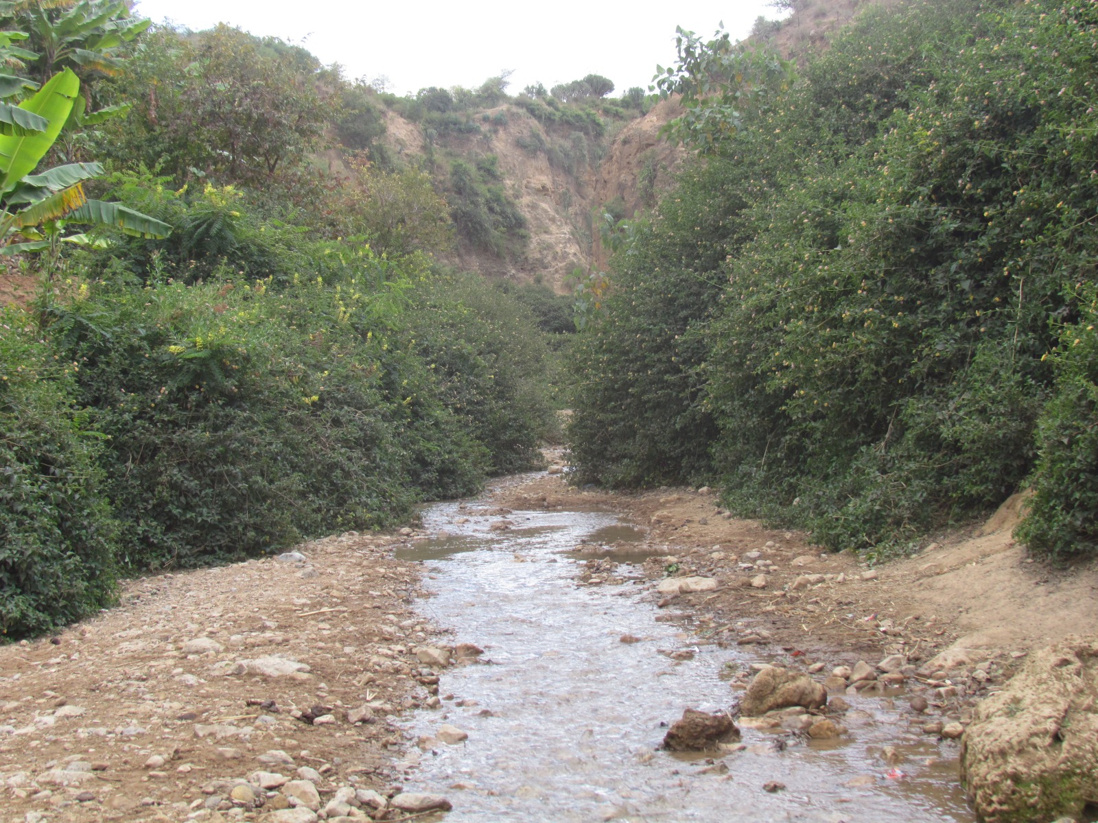 Near Hulul