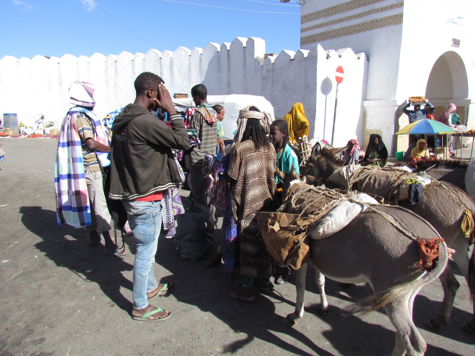 Harar - Victory gate - Donkeys