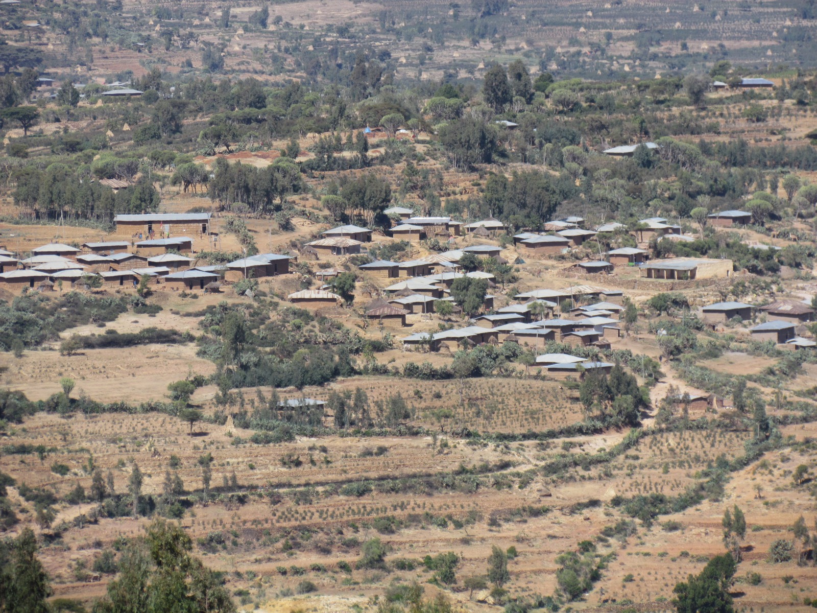 Near Harar