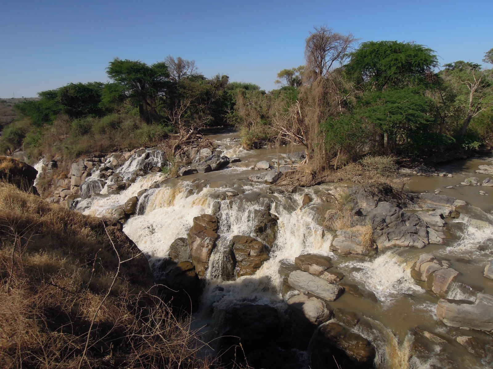 Awash Falls Lodge - Waterfalls
