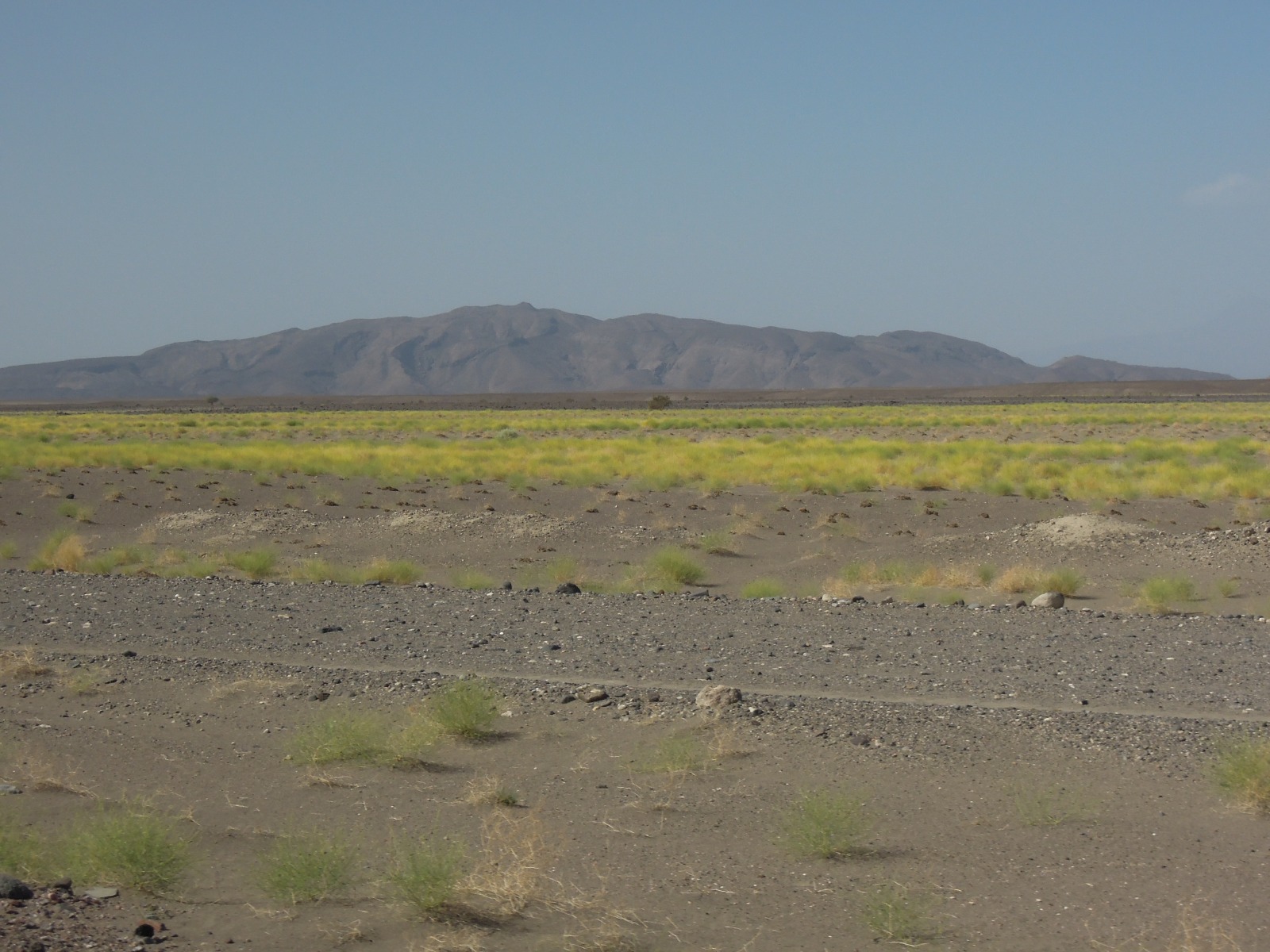 Danakil desert
