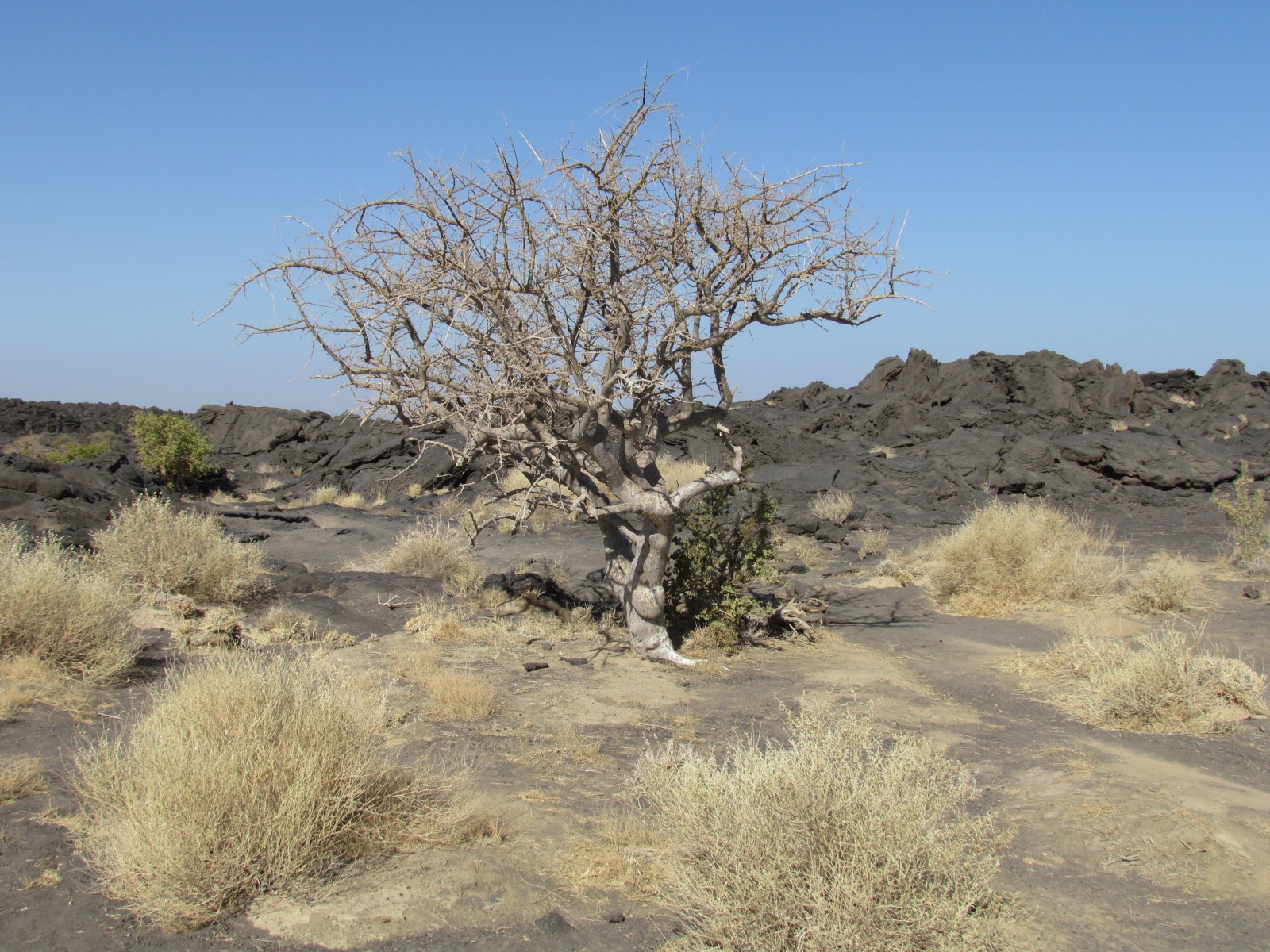 Danakil depression - Under Erta Ale volcano