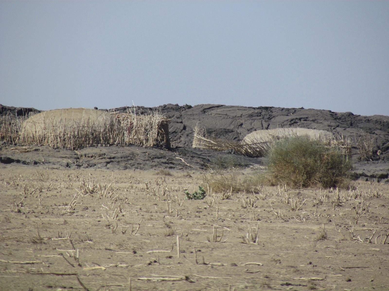 Danakil depression - Afar tents