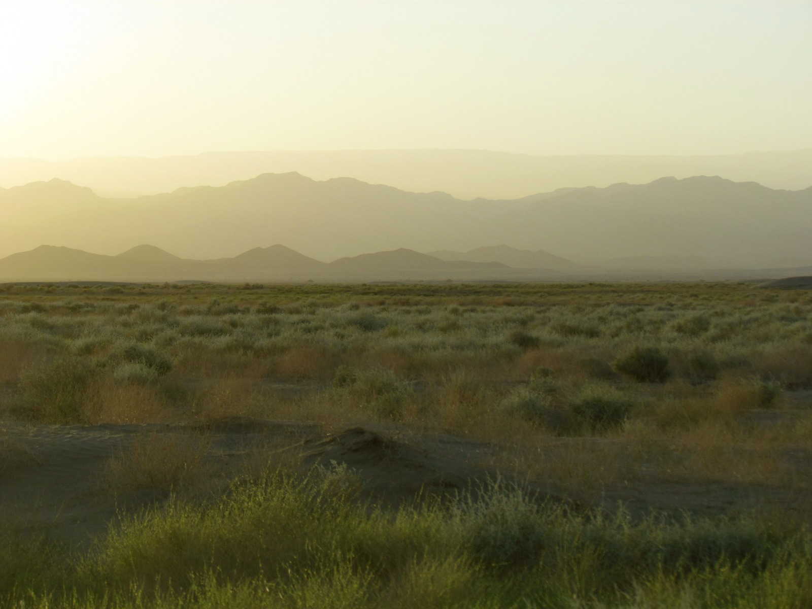 Danakil depression - Near Hamed Ela