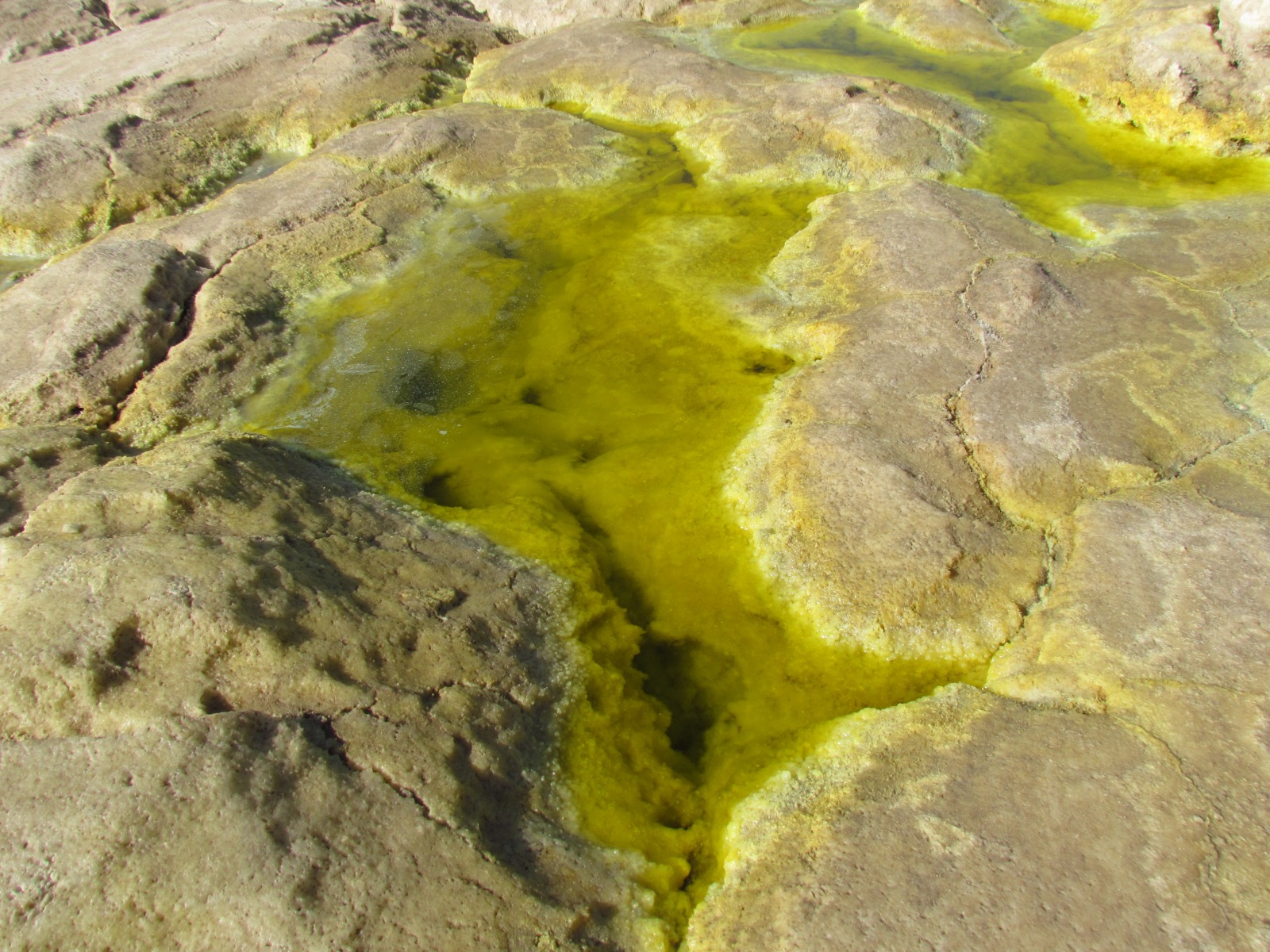 Danakil depression - Dallol