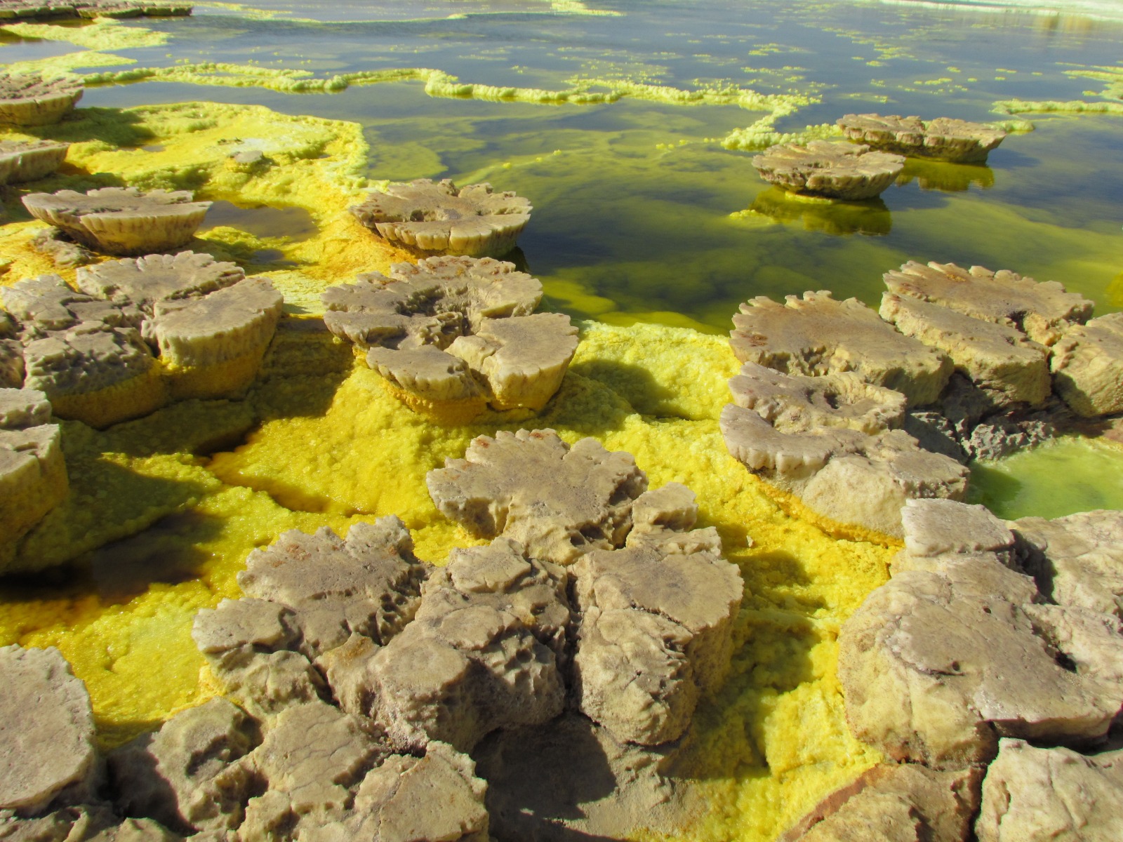 Danakil depression - Dallol