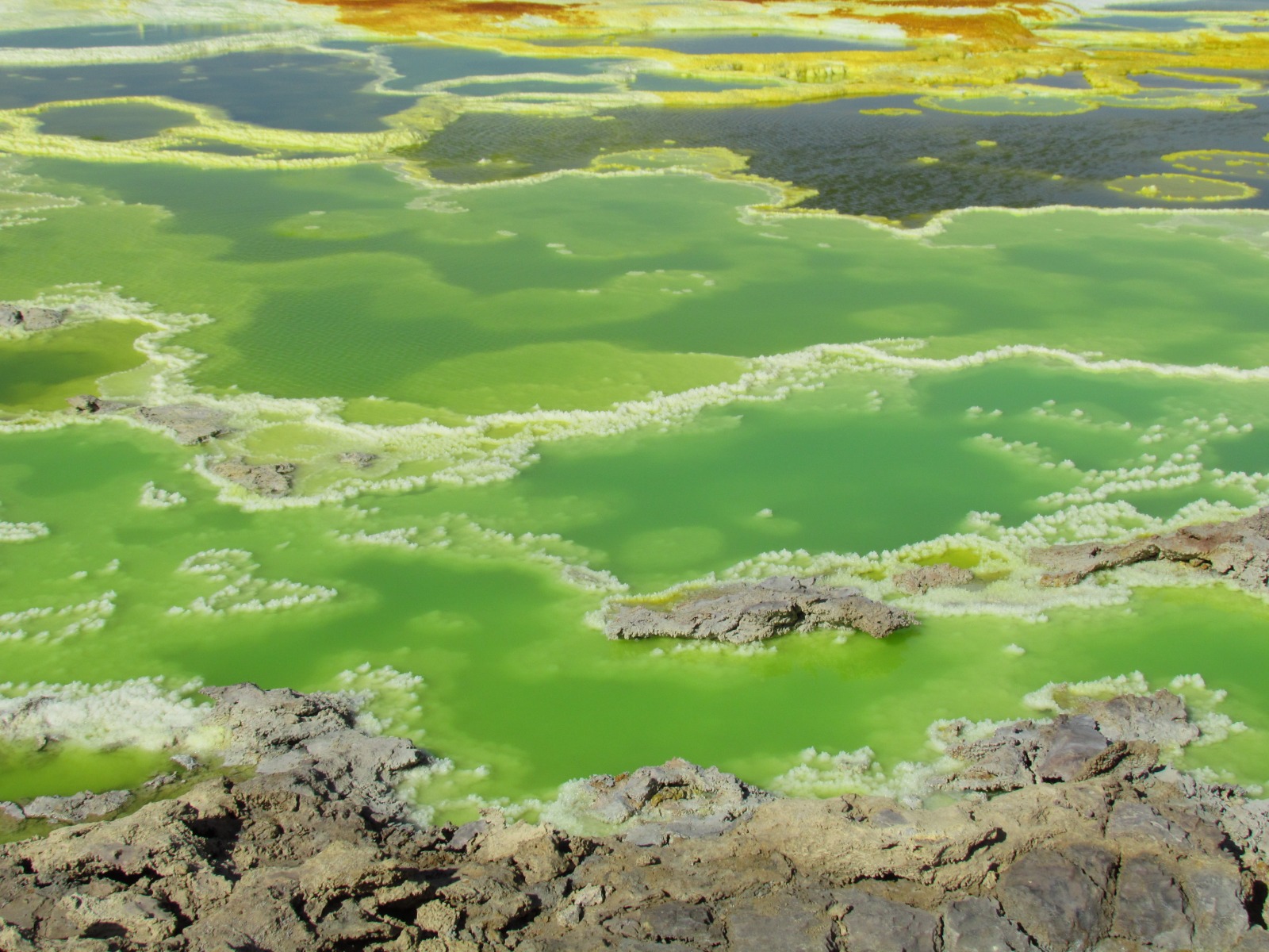 Danakil depression - Dallol