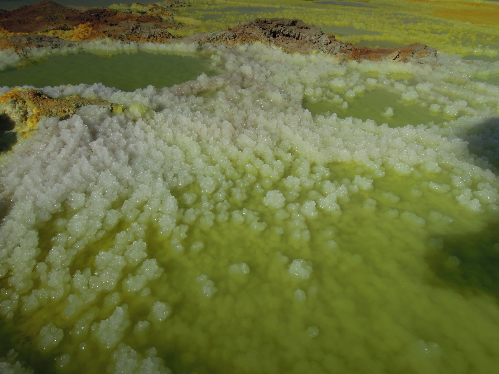 Danakil depression - Dallol