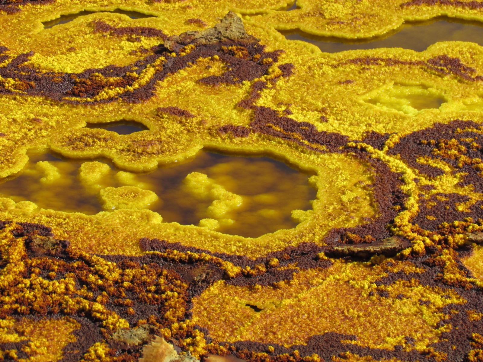 Danakil depression - Dallol