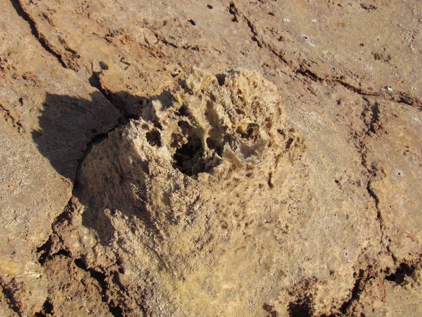 Danakil depression - Dallol