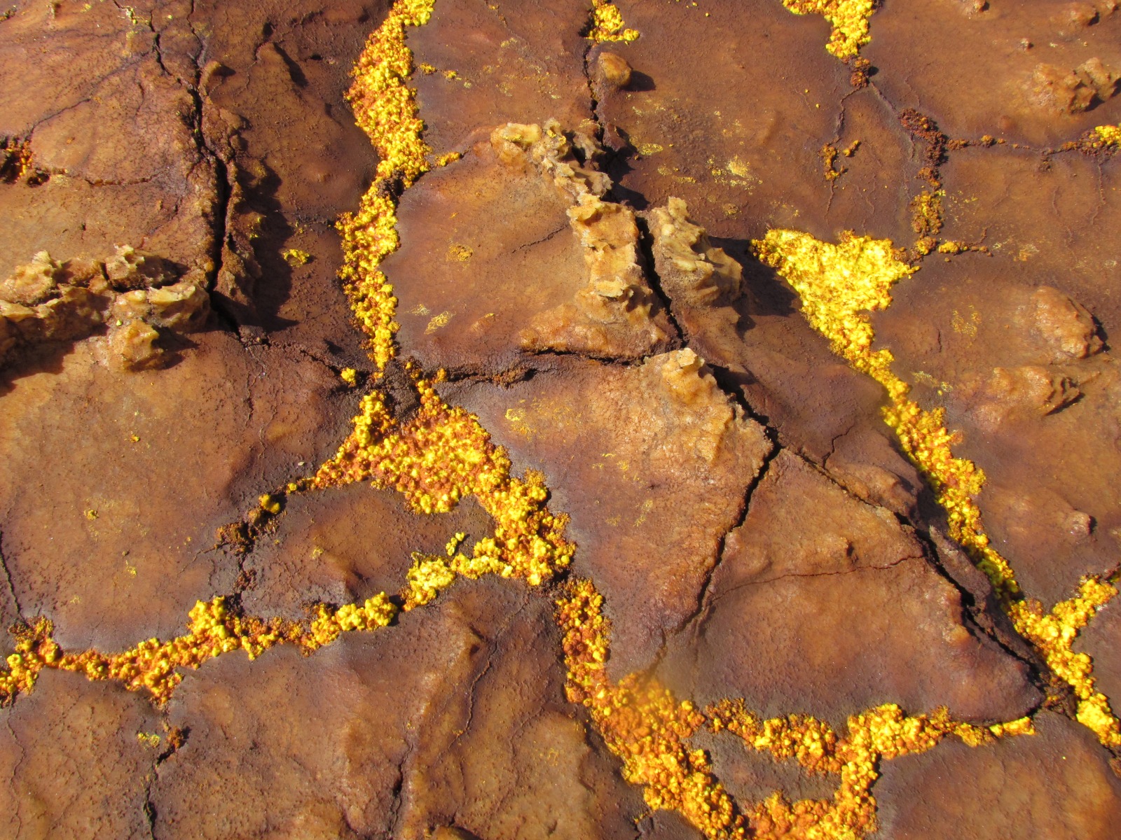 Danakil depression - Dallol