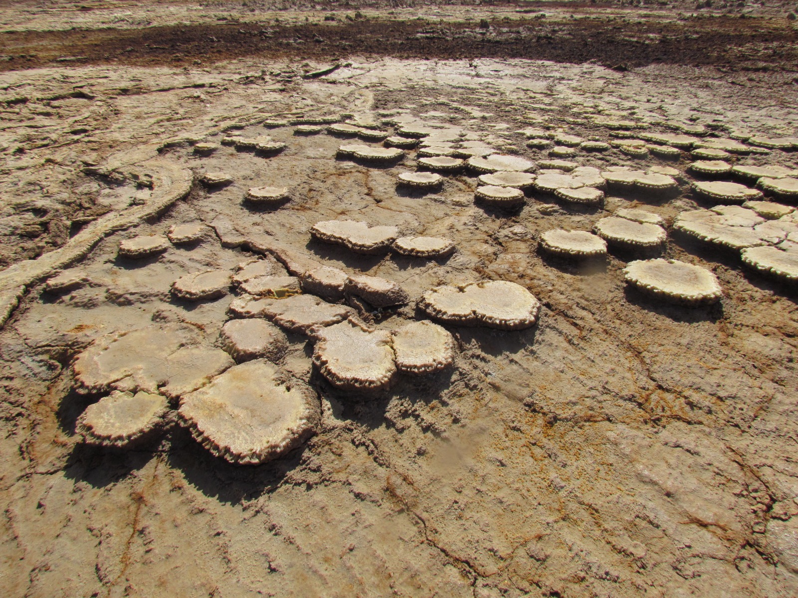 Danakil depression - Dallol