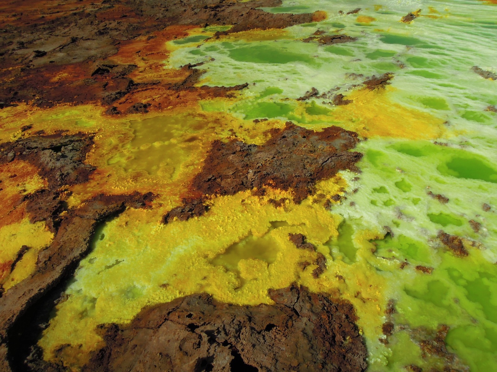 Danakil depression - Dallol