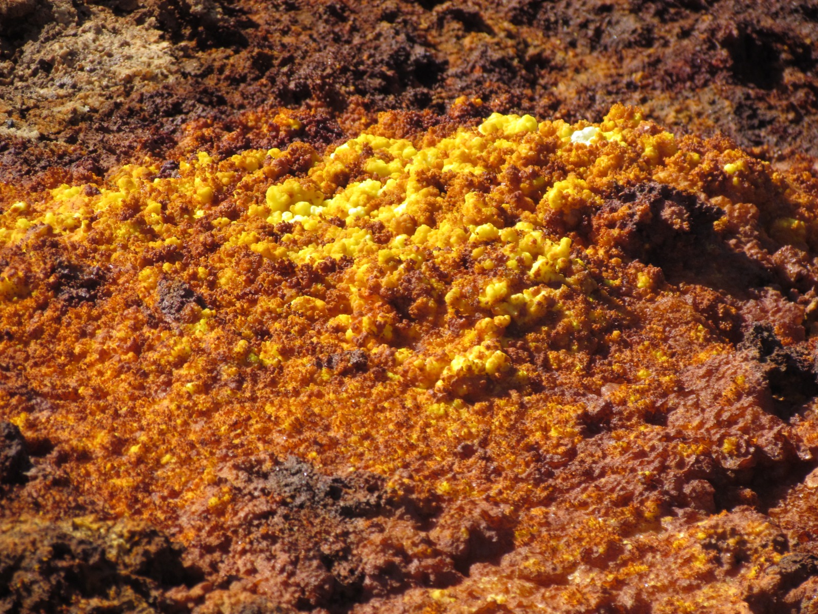 Danakil depression - Dallol