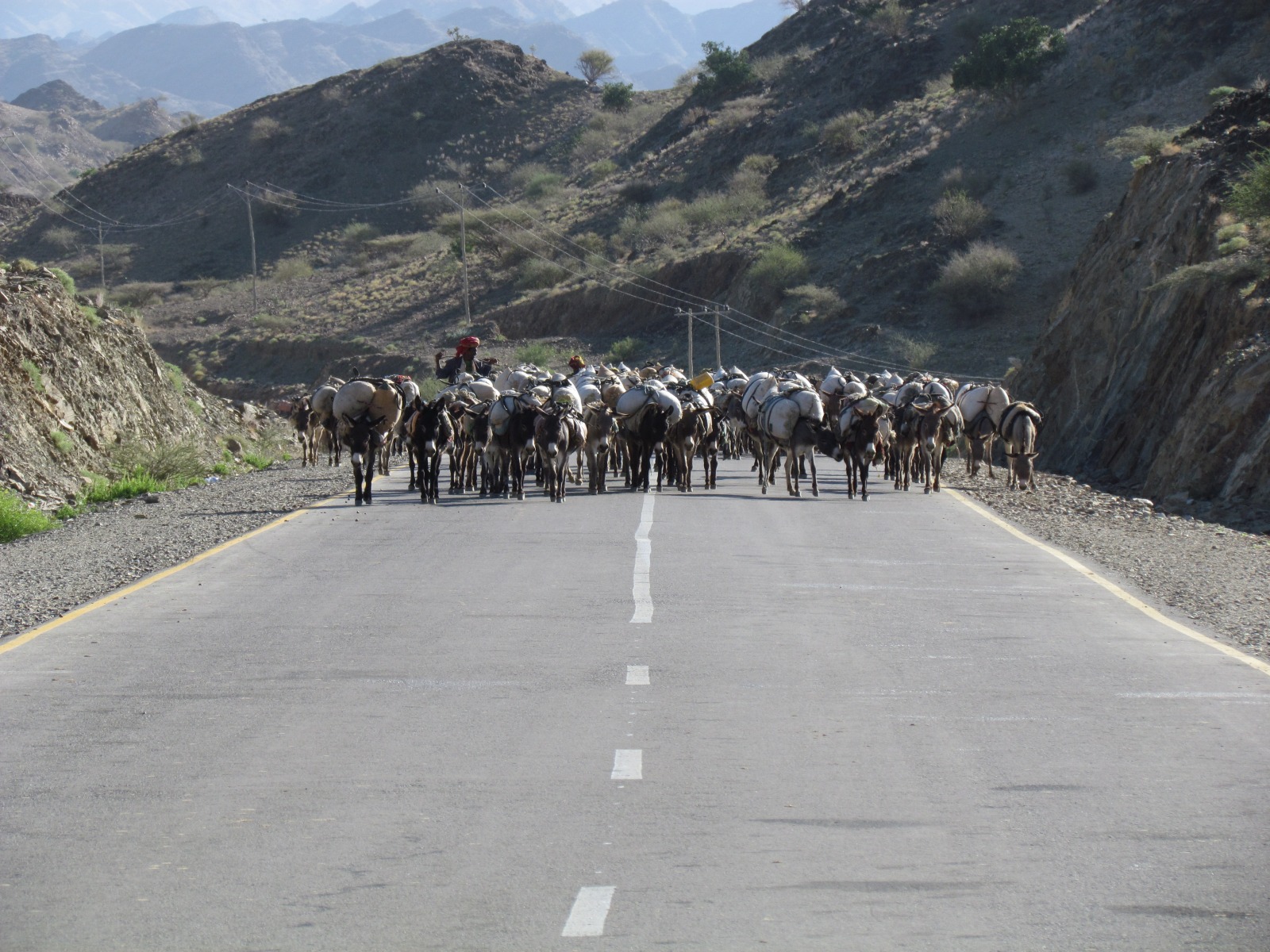 Near Berhale - Salt transport