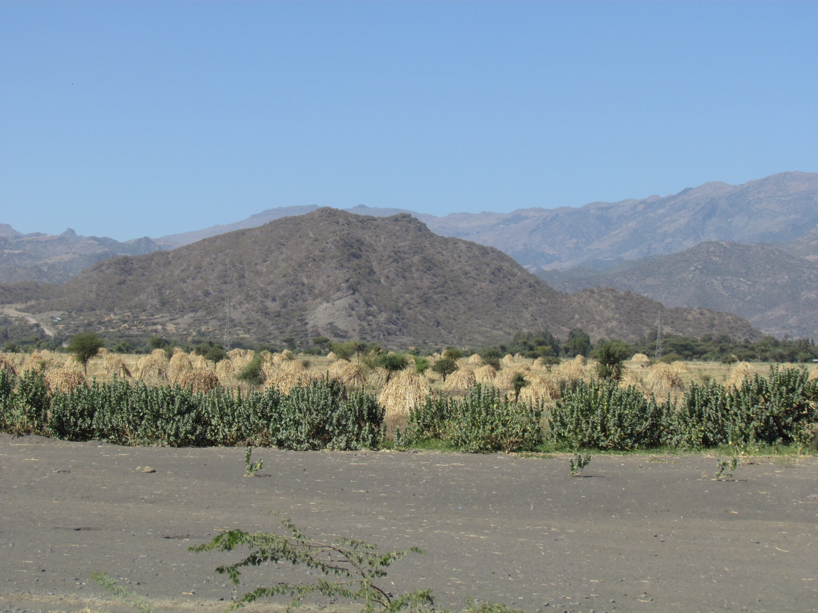 Near Weldiya - Haystacks