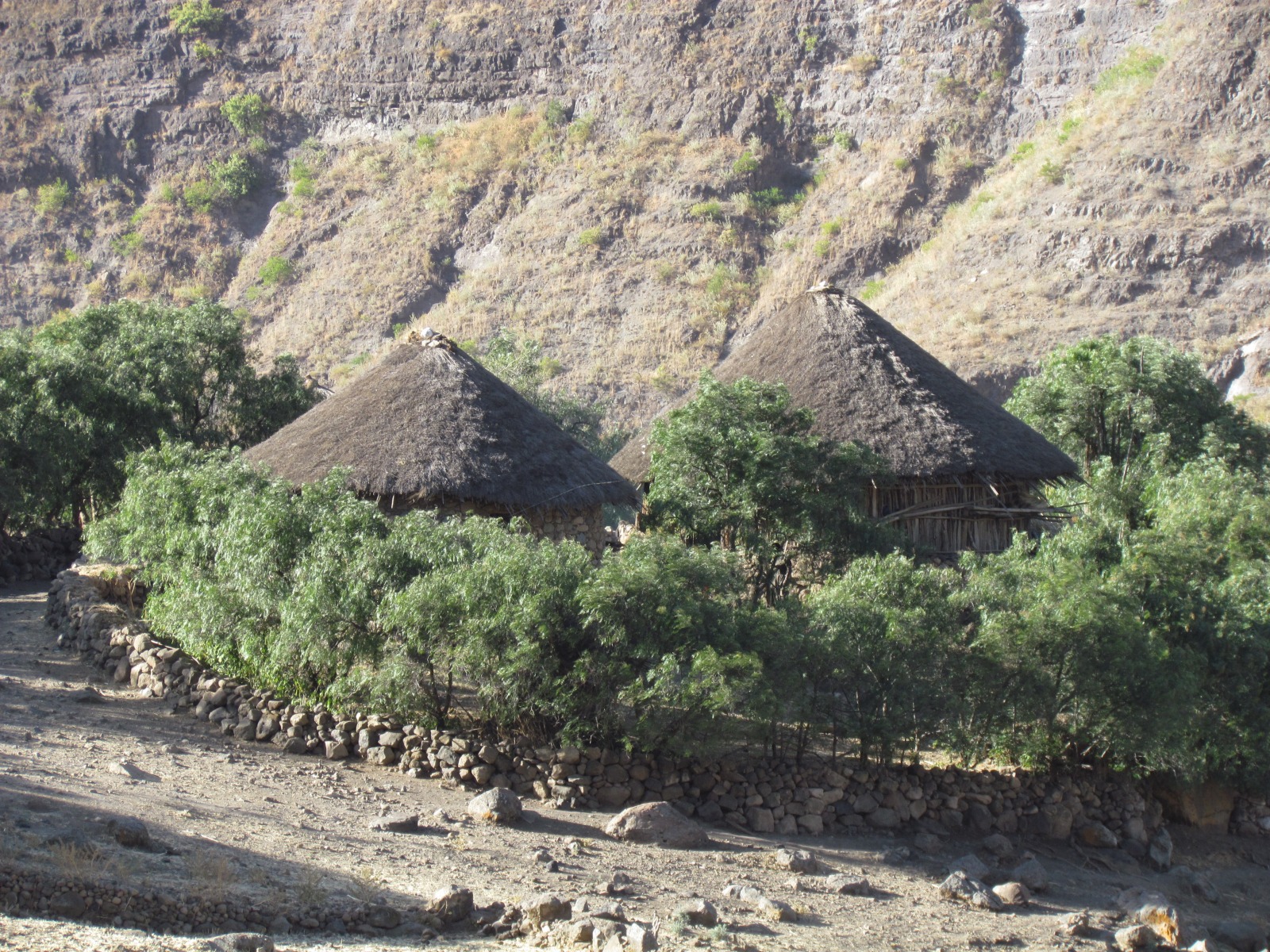 Near Lalibela - Houses