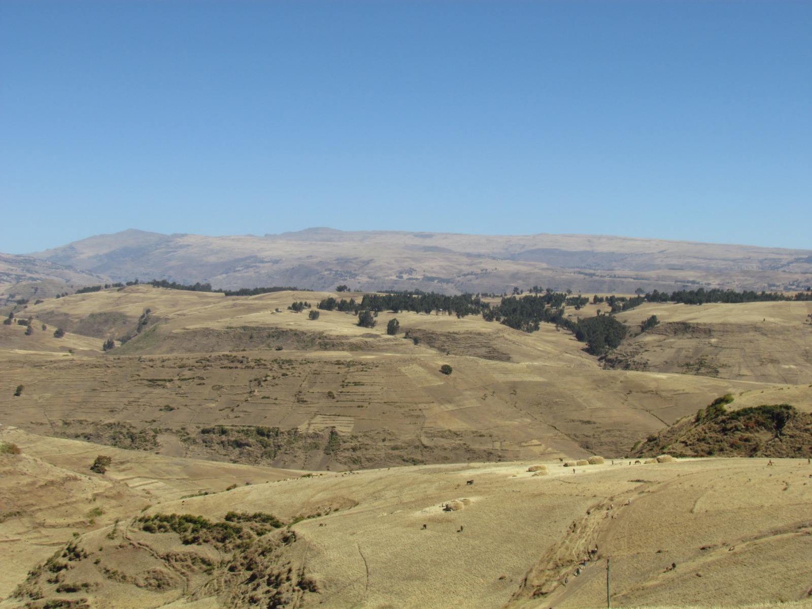 Simien mountains