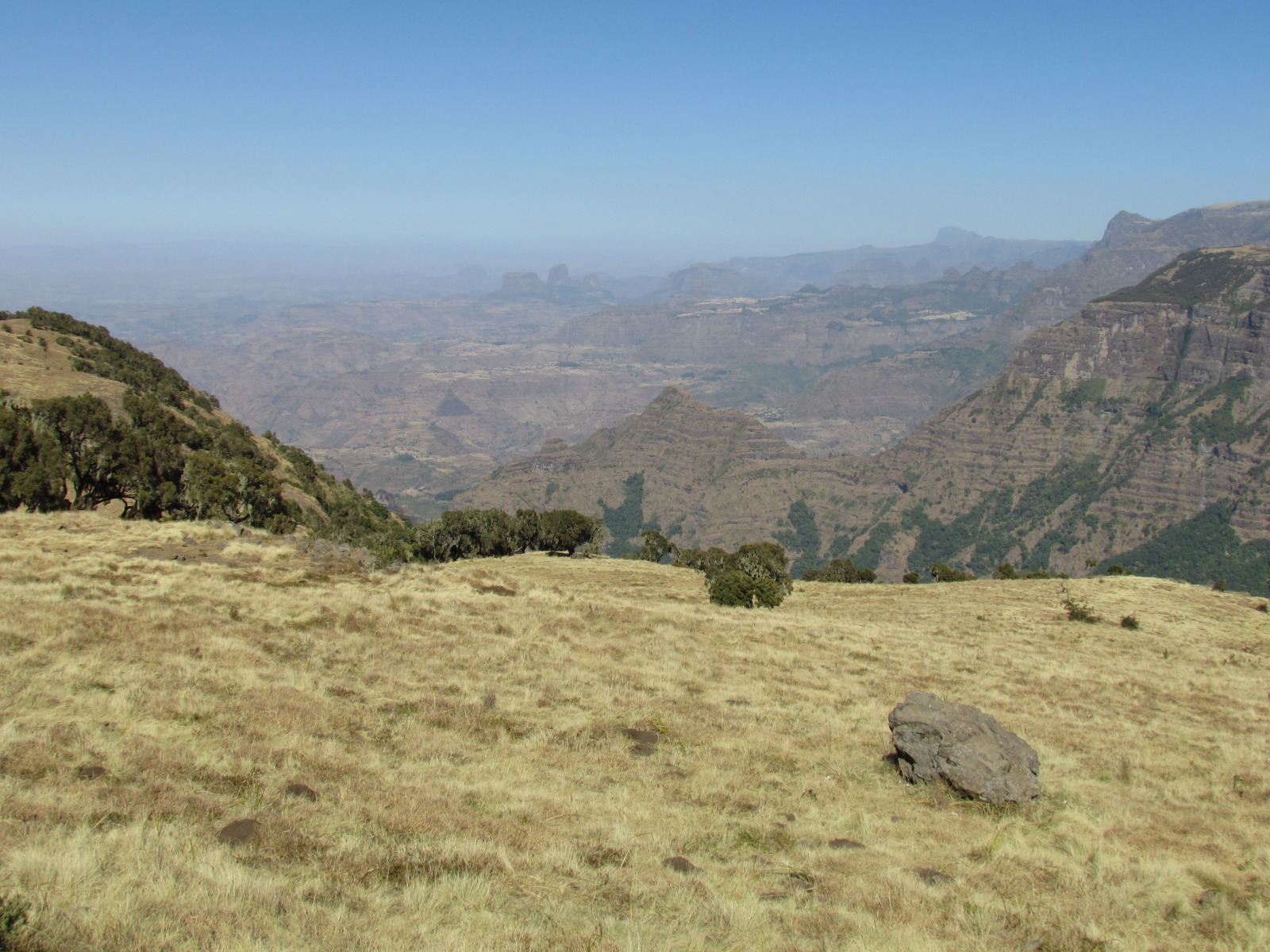 Simien mountains
