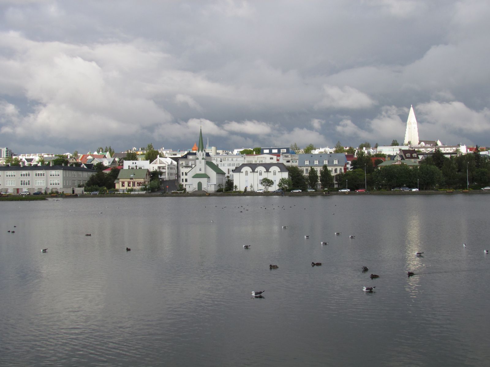 Reykjavik - Lake Tjörnin