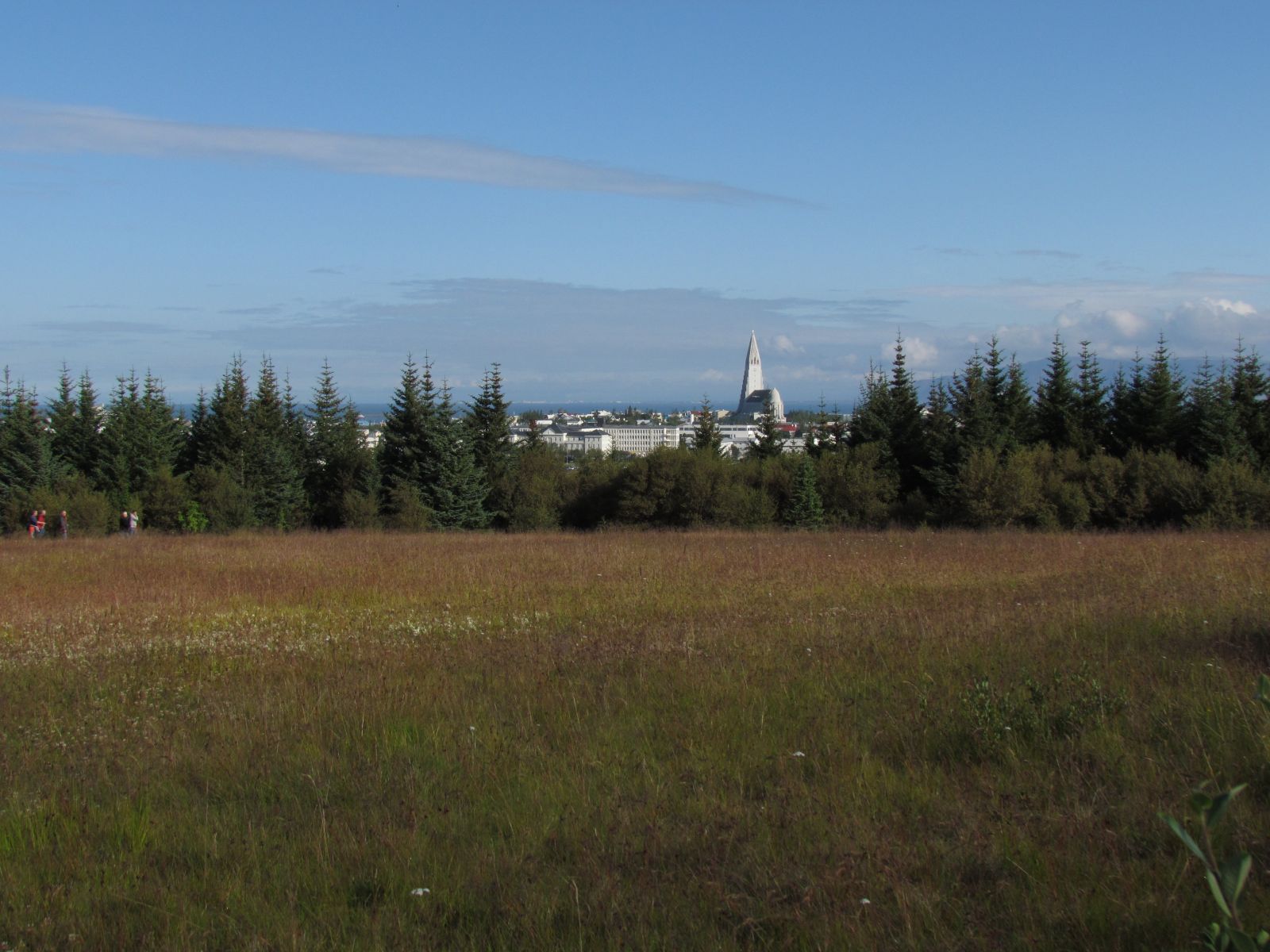 Reykjavik - Hallgrímskirkja