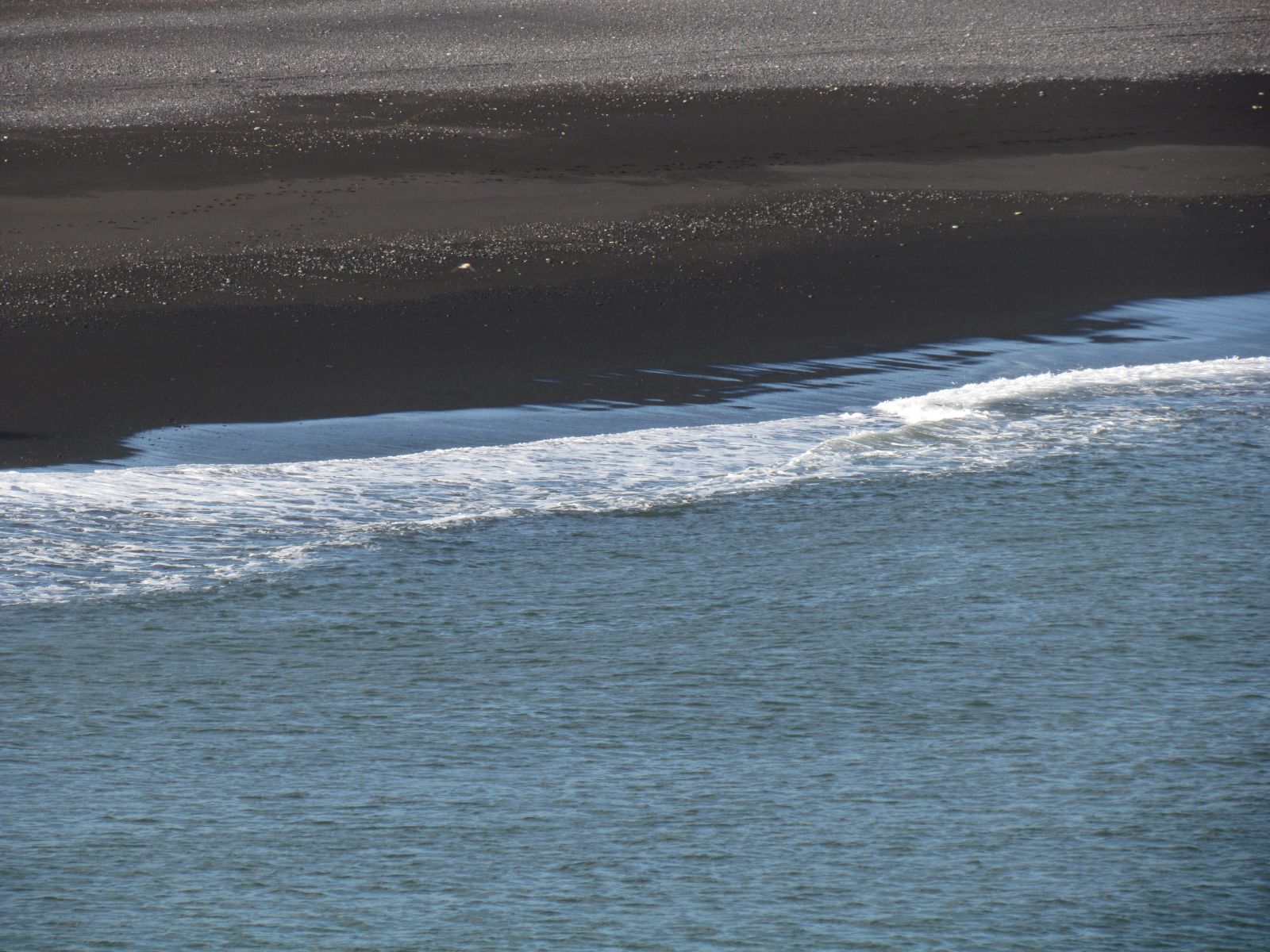 Near Vík - Dyrhólæy