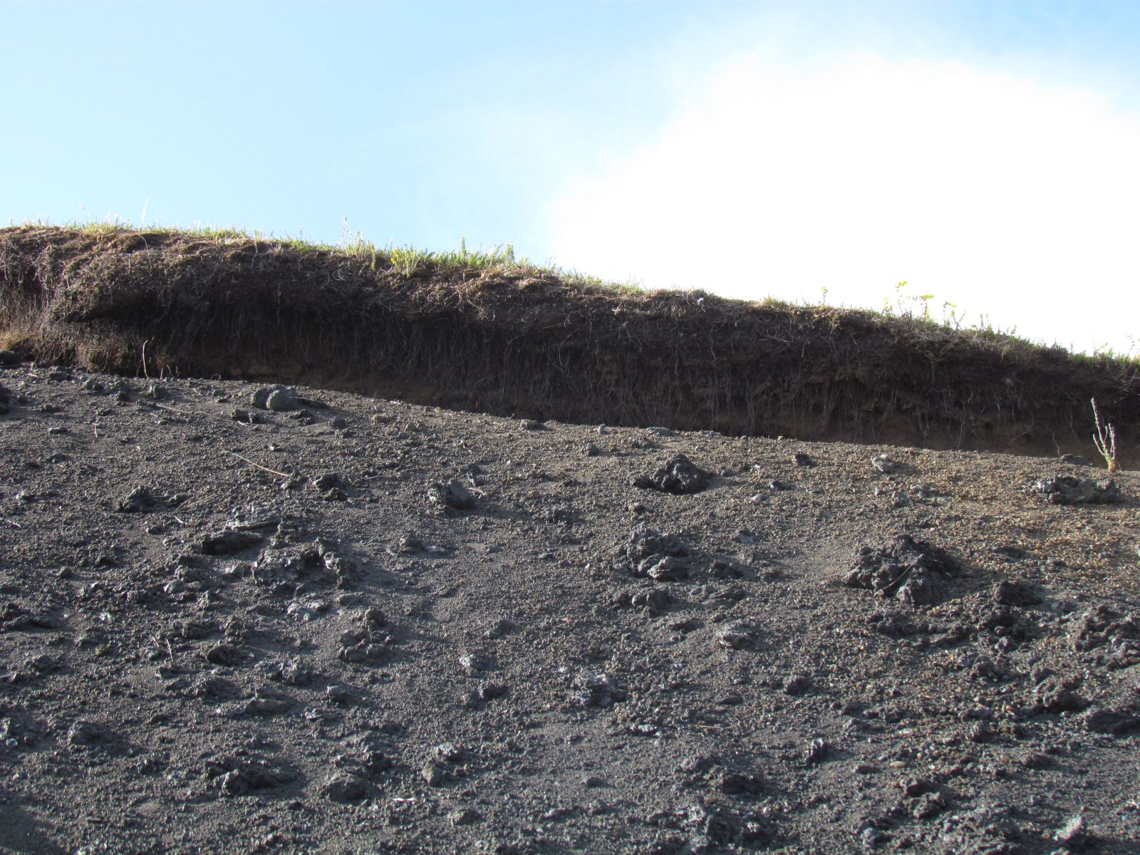 Mývatn Region - Stakholstjorn pseudocraters