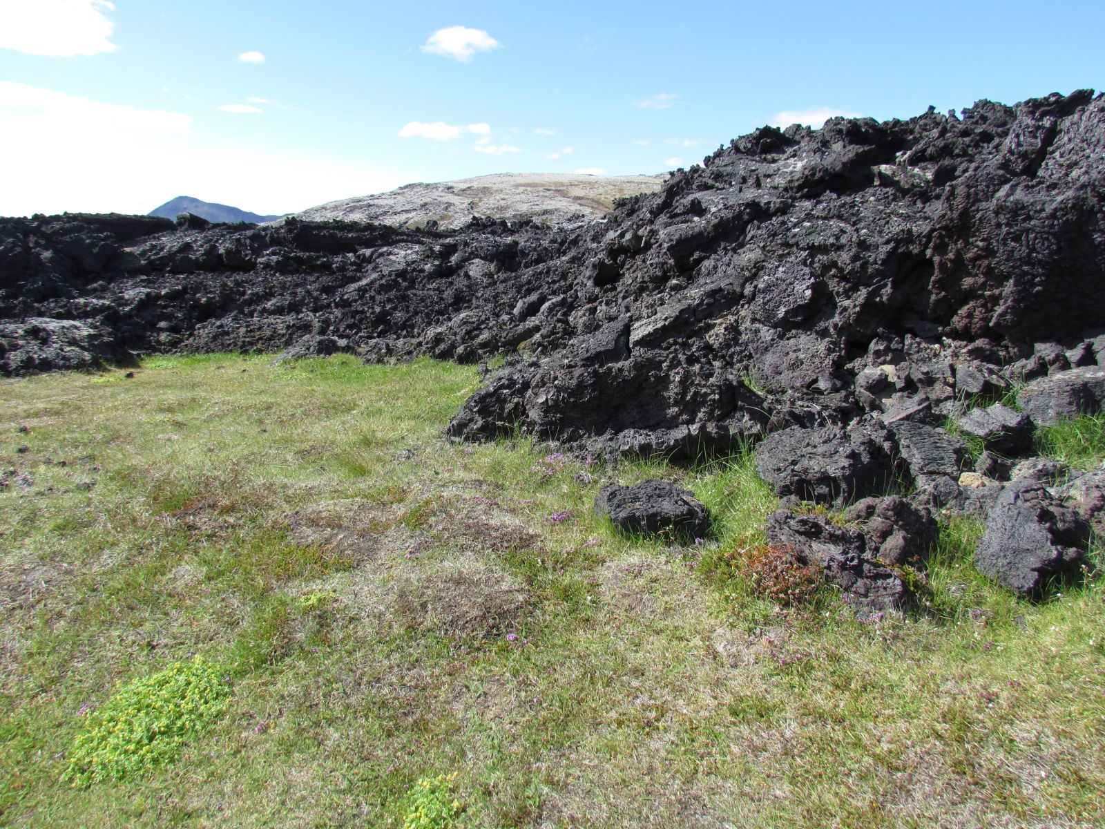 Mývatn Region - Leirhnjúkur volcano