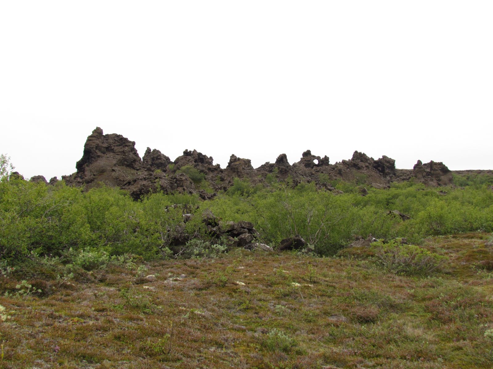 Mývatn Region - Dimmuborgir