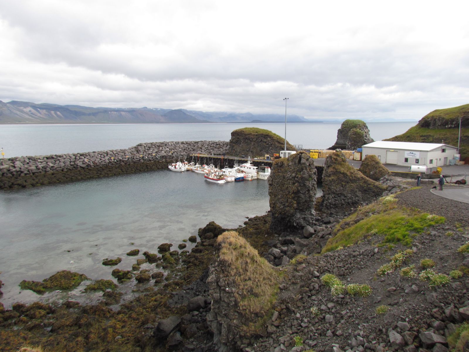 Snæfellsnes - Arnarstapi