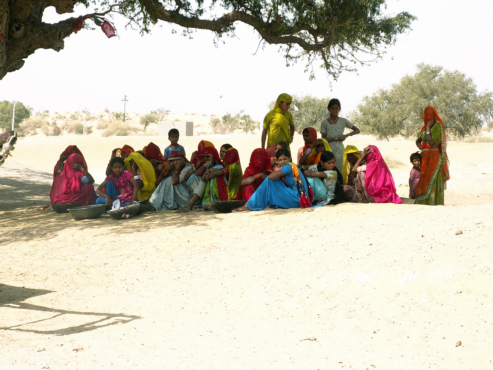 Near Bikaner - Resting in the shadow